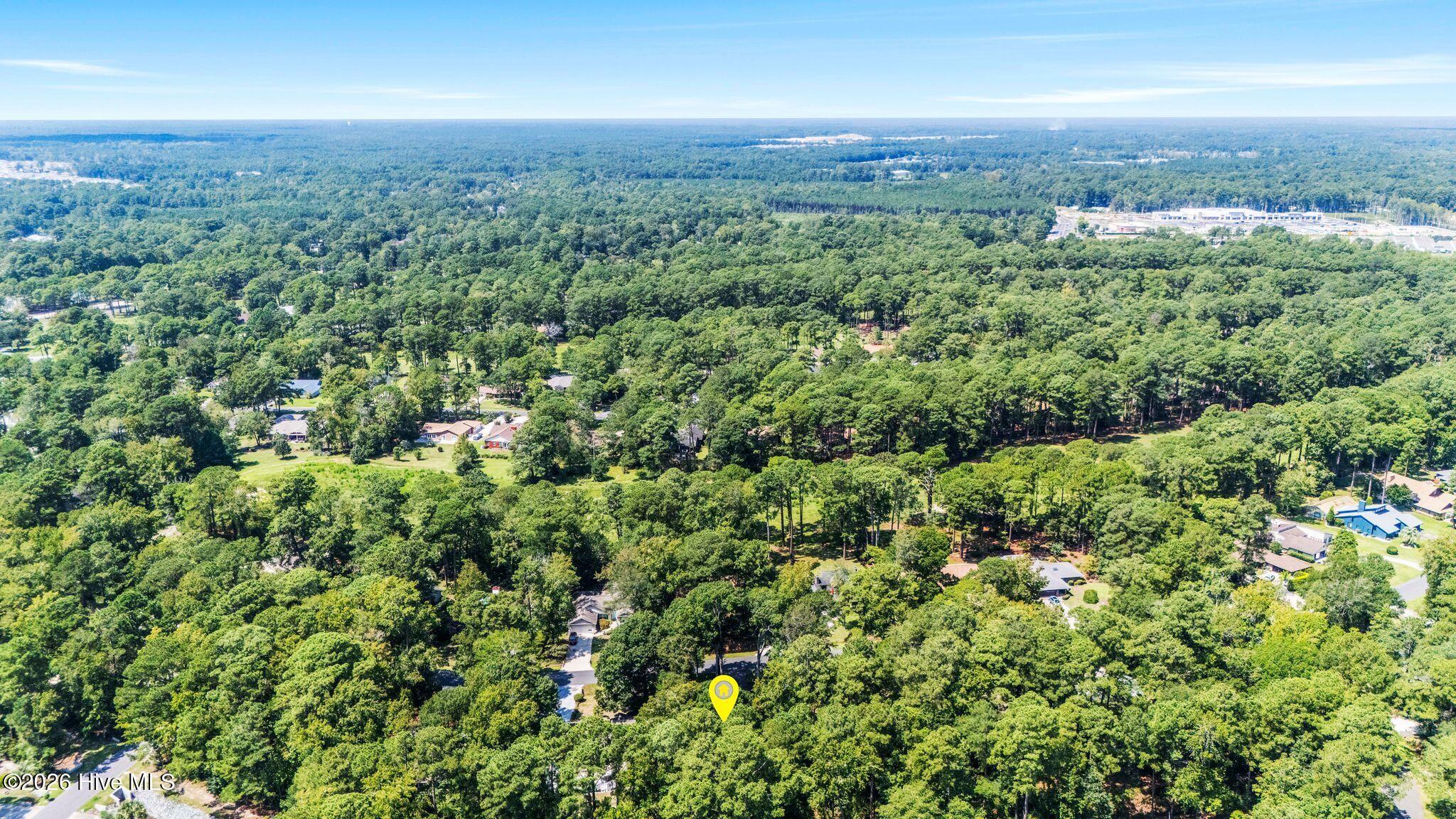 39 Swamp Fox Drive Property Photo 32