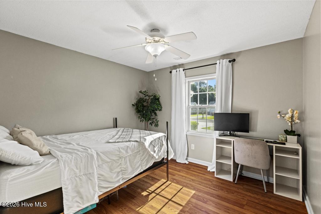 238 Parnell Road Property Photo 14