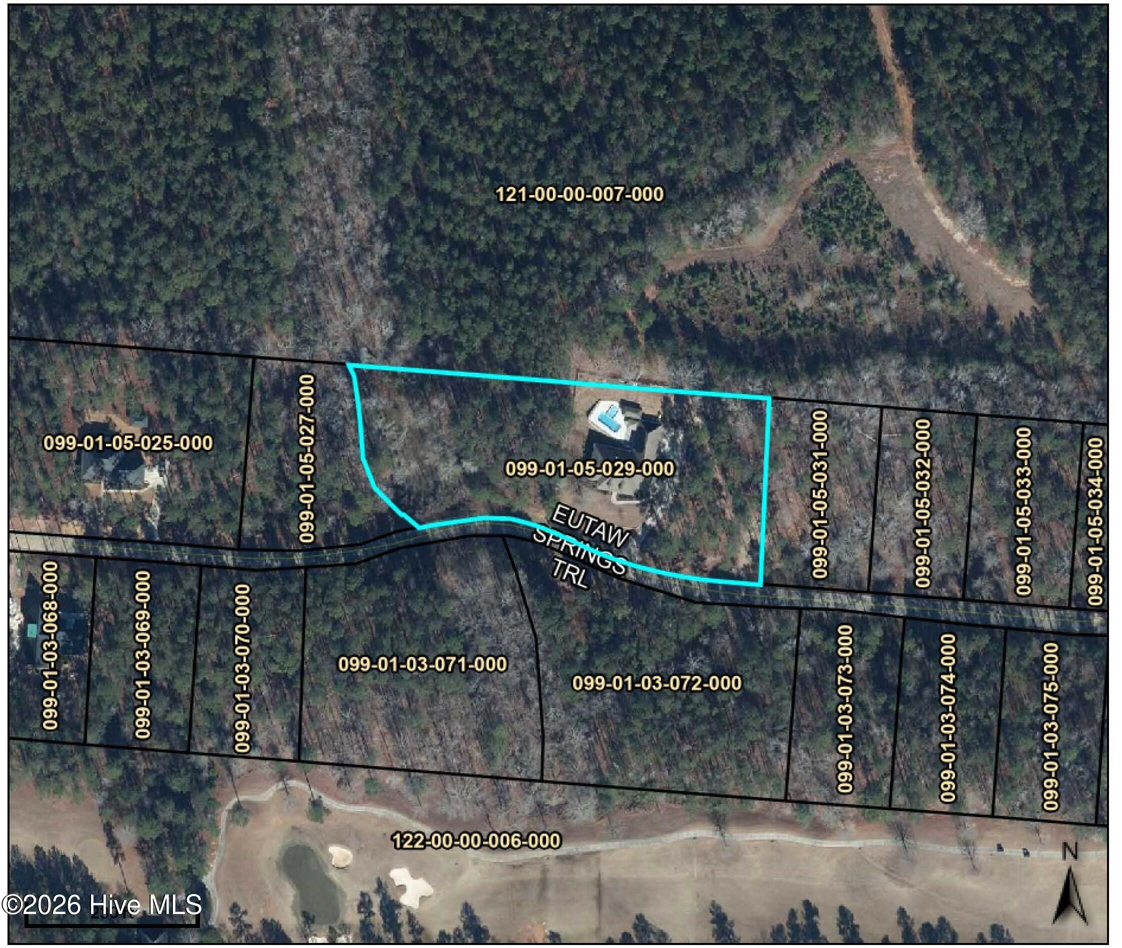 253 Eutaw Springs Trail Property Photo 4