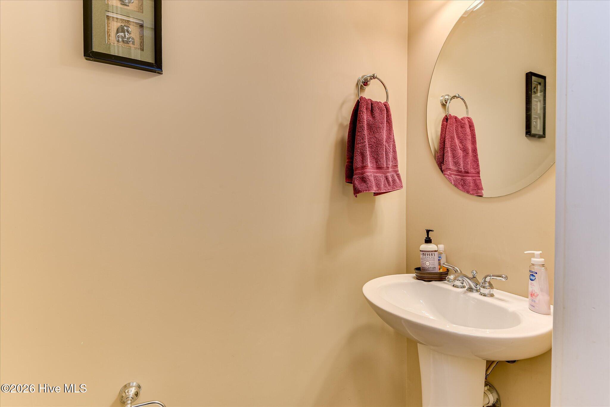 253 Eutaw Springs Trail Property Photo 20