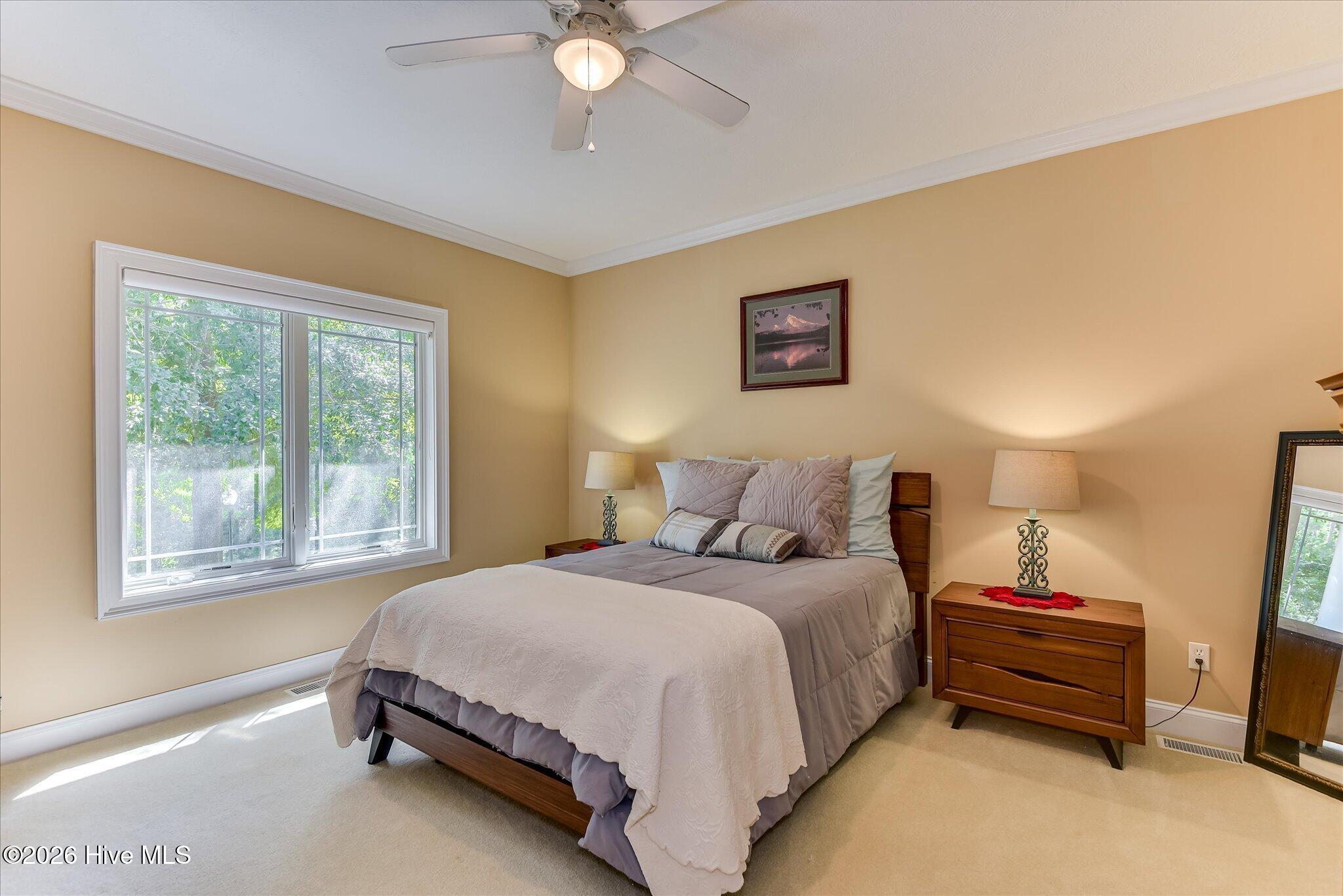 253 Eutaw Springs Trail Property Photo 28