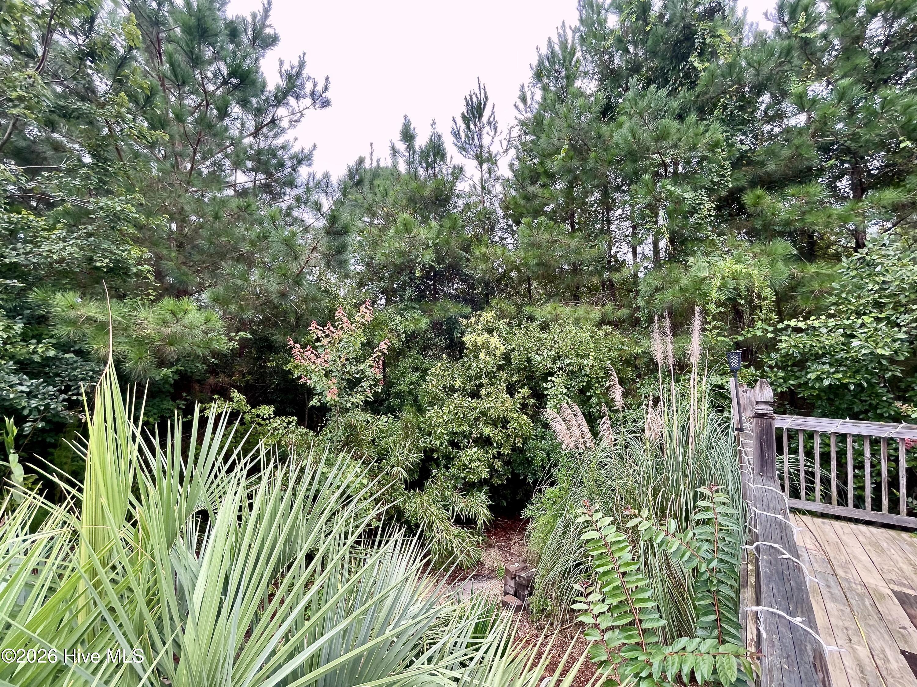 520 Laurinburg Road Property Photo 53