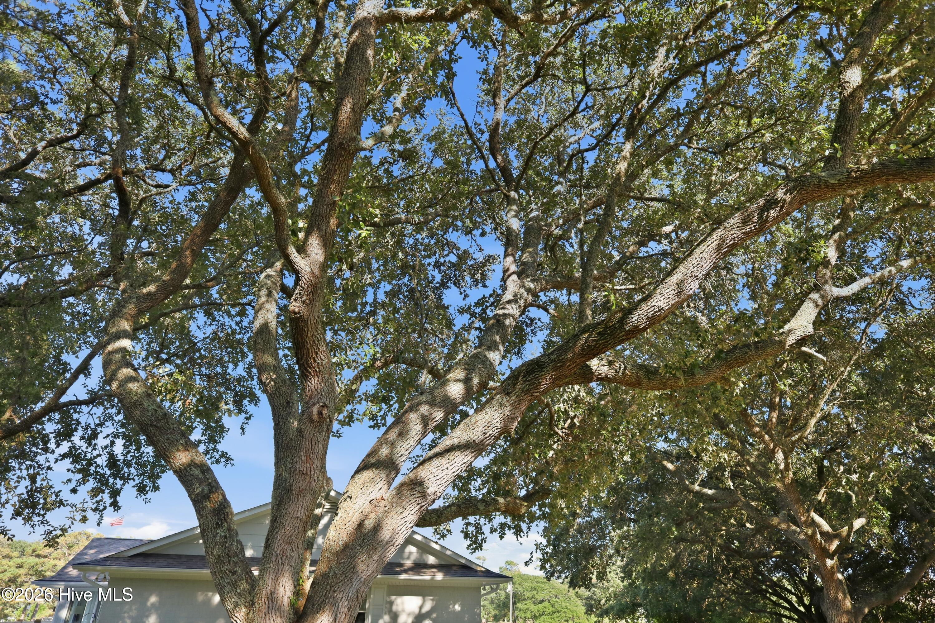 104 Sea Trace Lane Property Photo 46