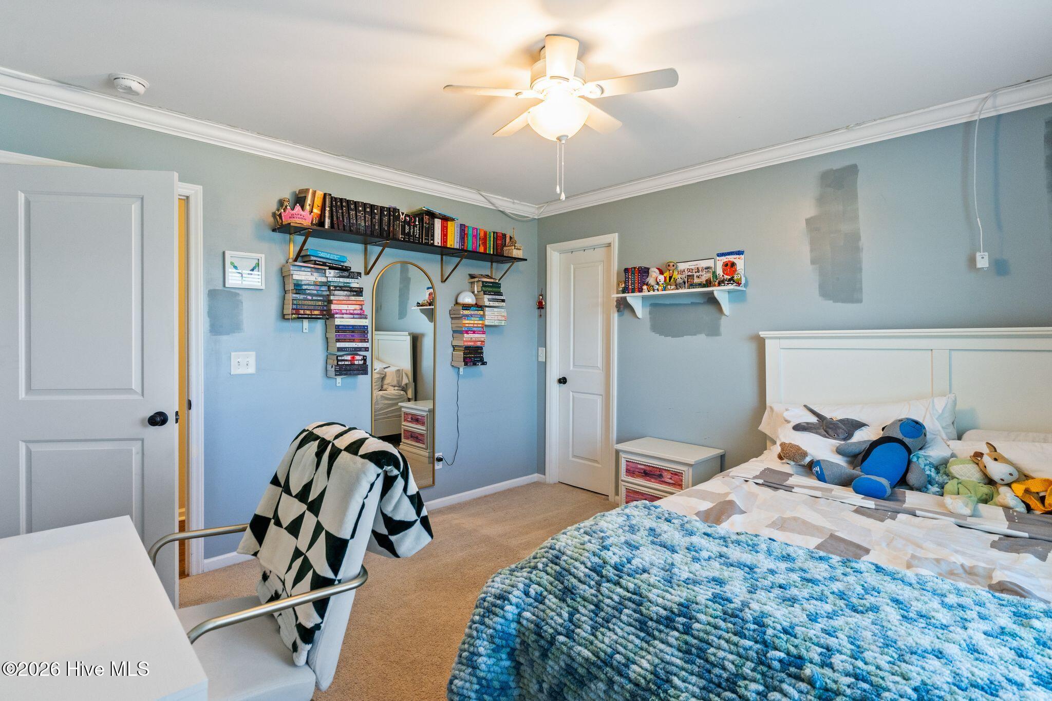 301 Palisades Way Property Photo 46