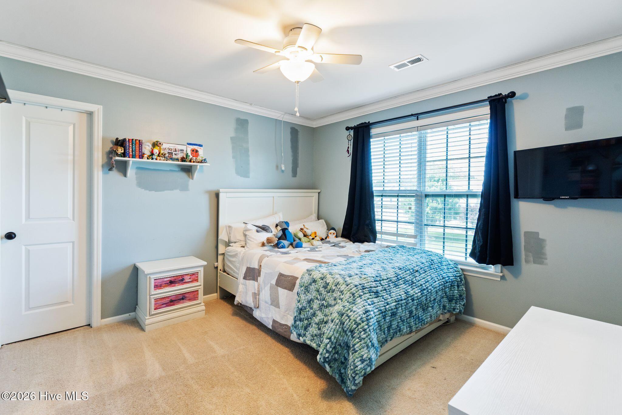 301 Palisades Way Property Photo 47