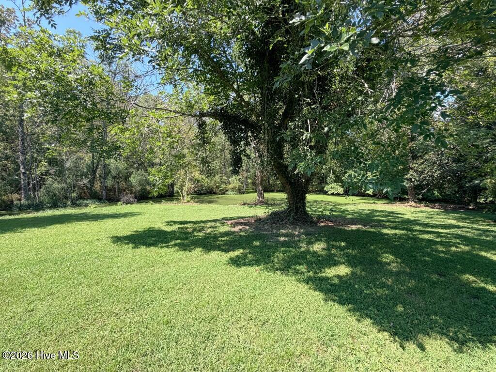 108 Hawkins Lane Property Photo 65
