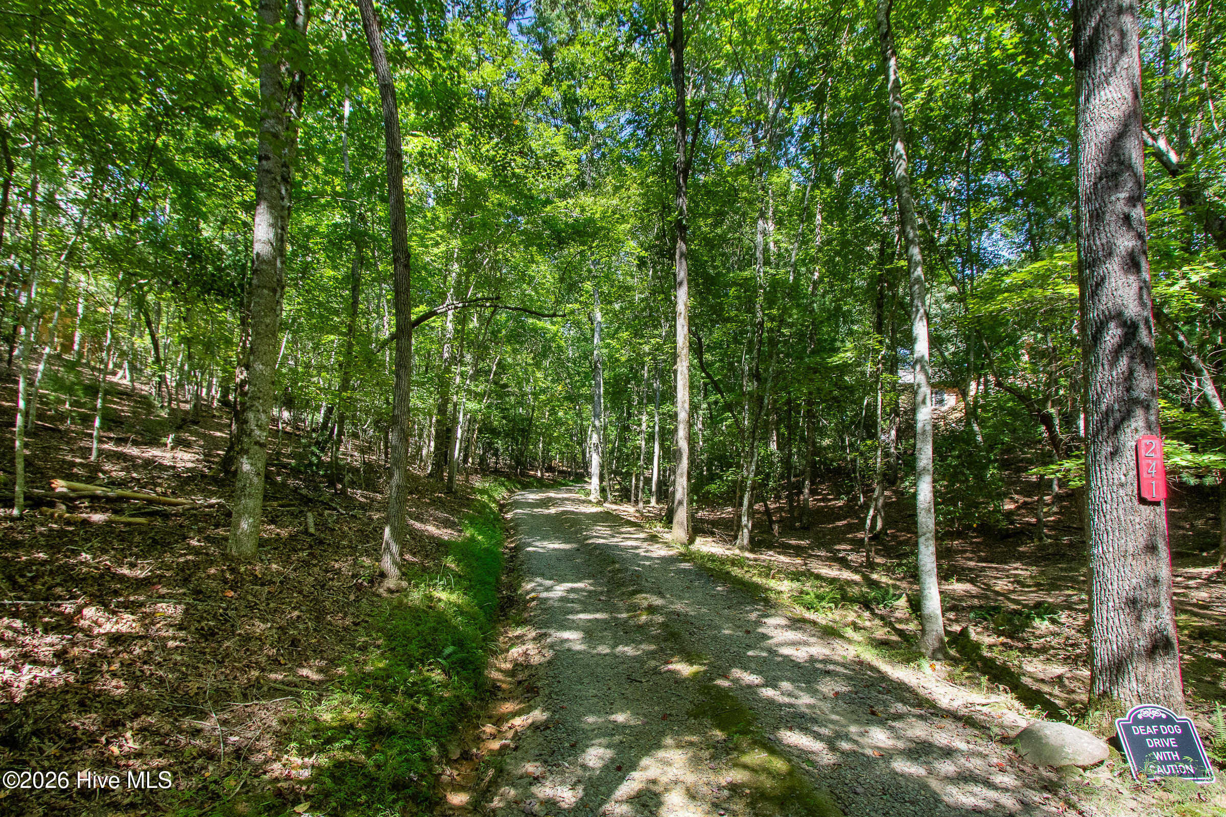 241 Bunny Run Property Photo 4