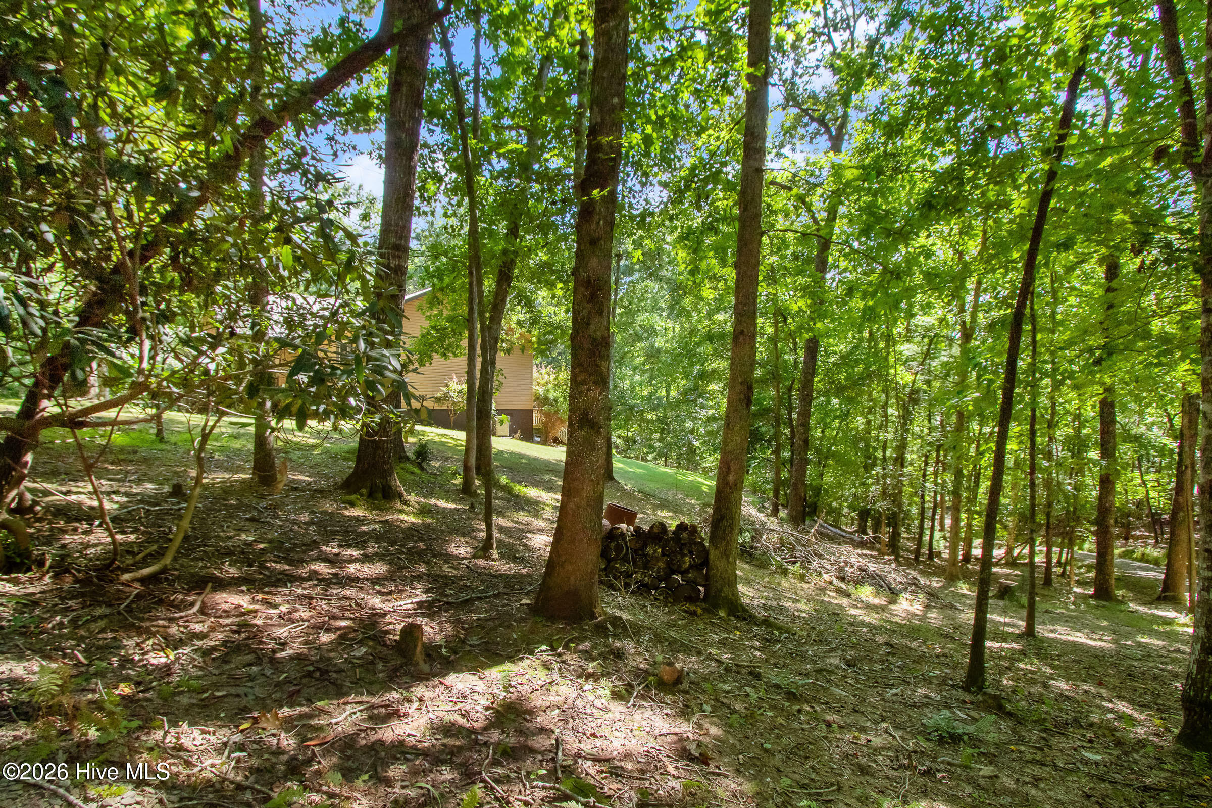 241 Bunny Run Property Photo 5