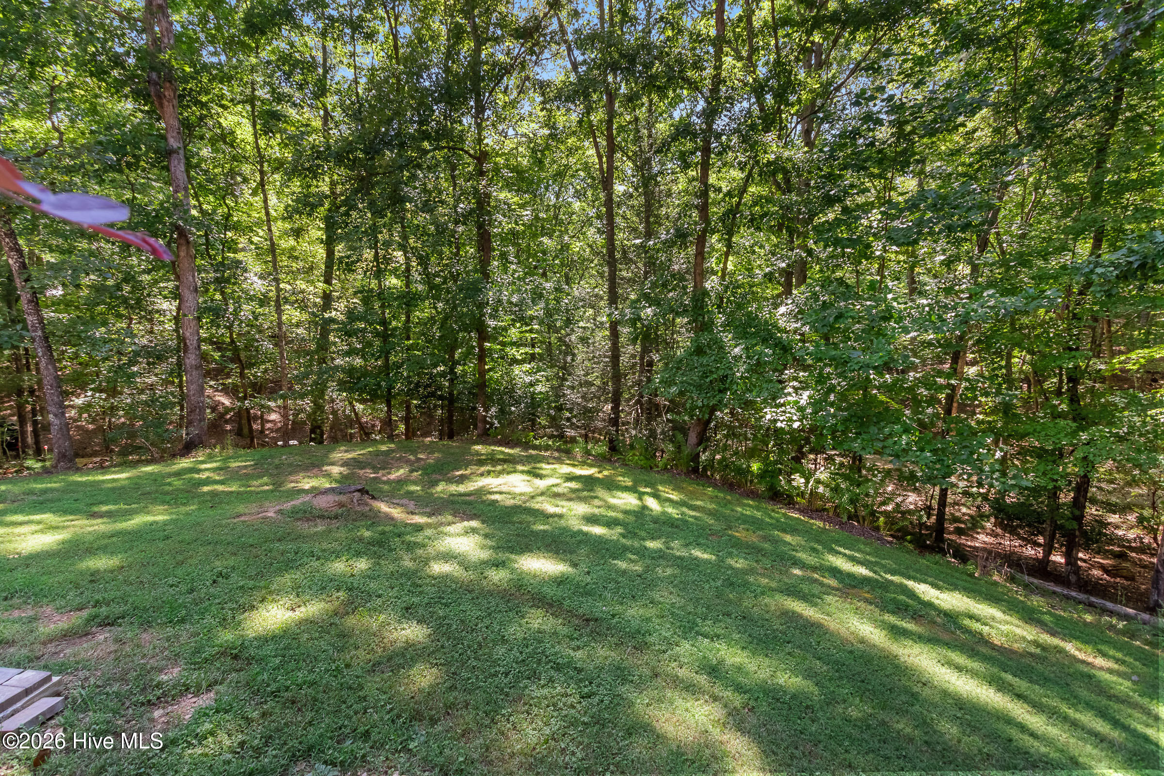 241 Bunny Run Property Photo 72