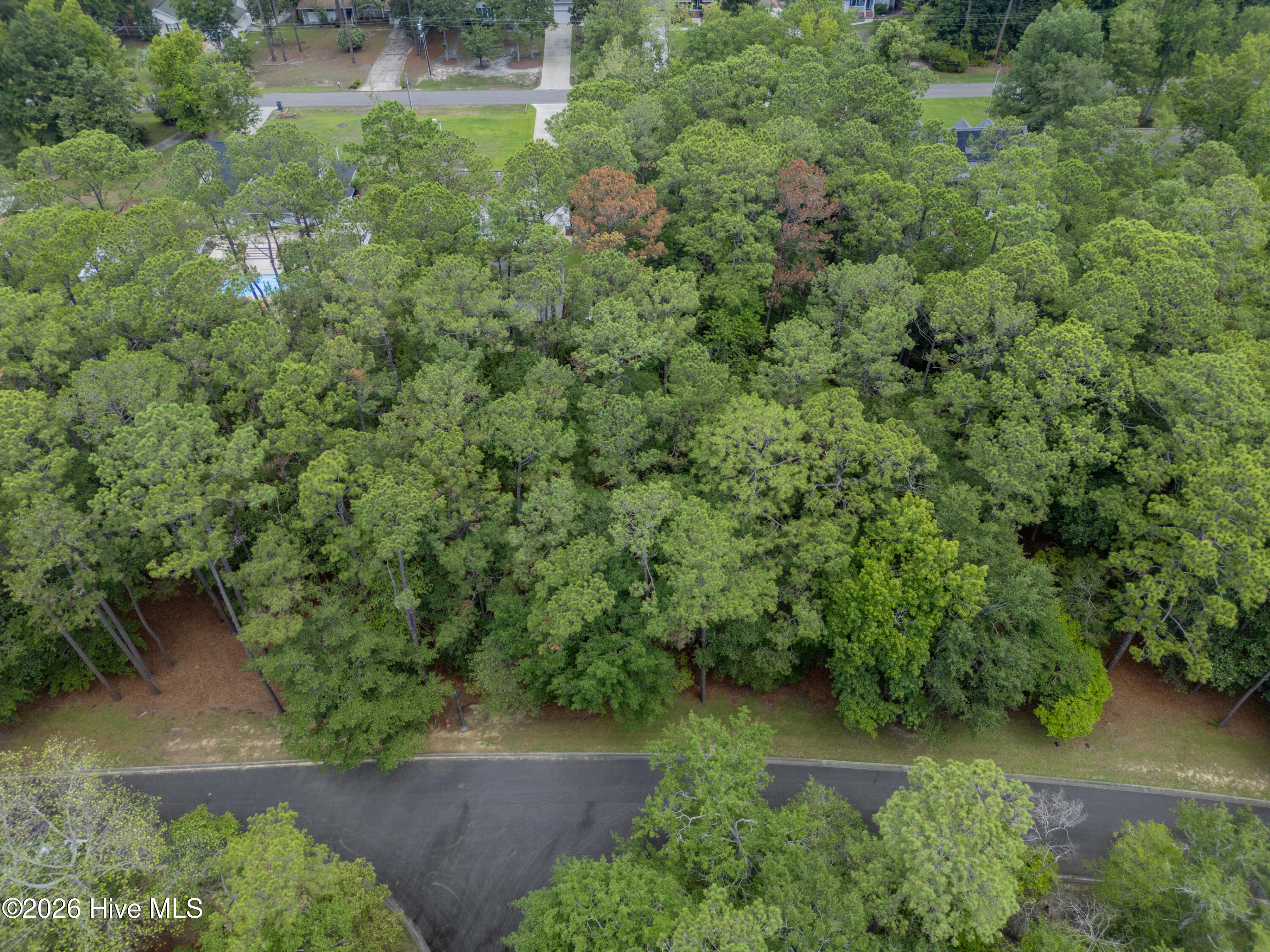 3716 56 Pine Brook Trail Property Photo 1