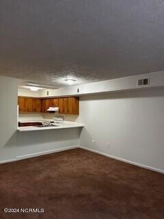 365 W Illinois Avenue Apt 14 Property Photo 8