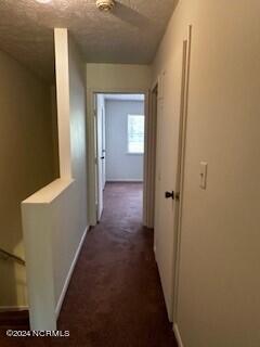 365 W Illinois Avenue Apt 14 Property Photo 19