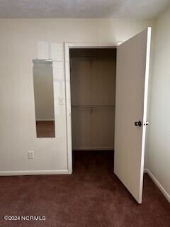 365 W Illinois Avenue Apt 14 Property Photo 23