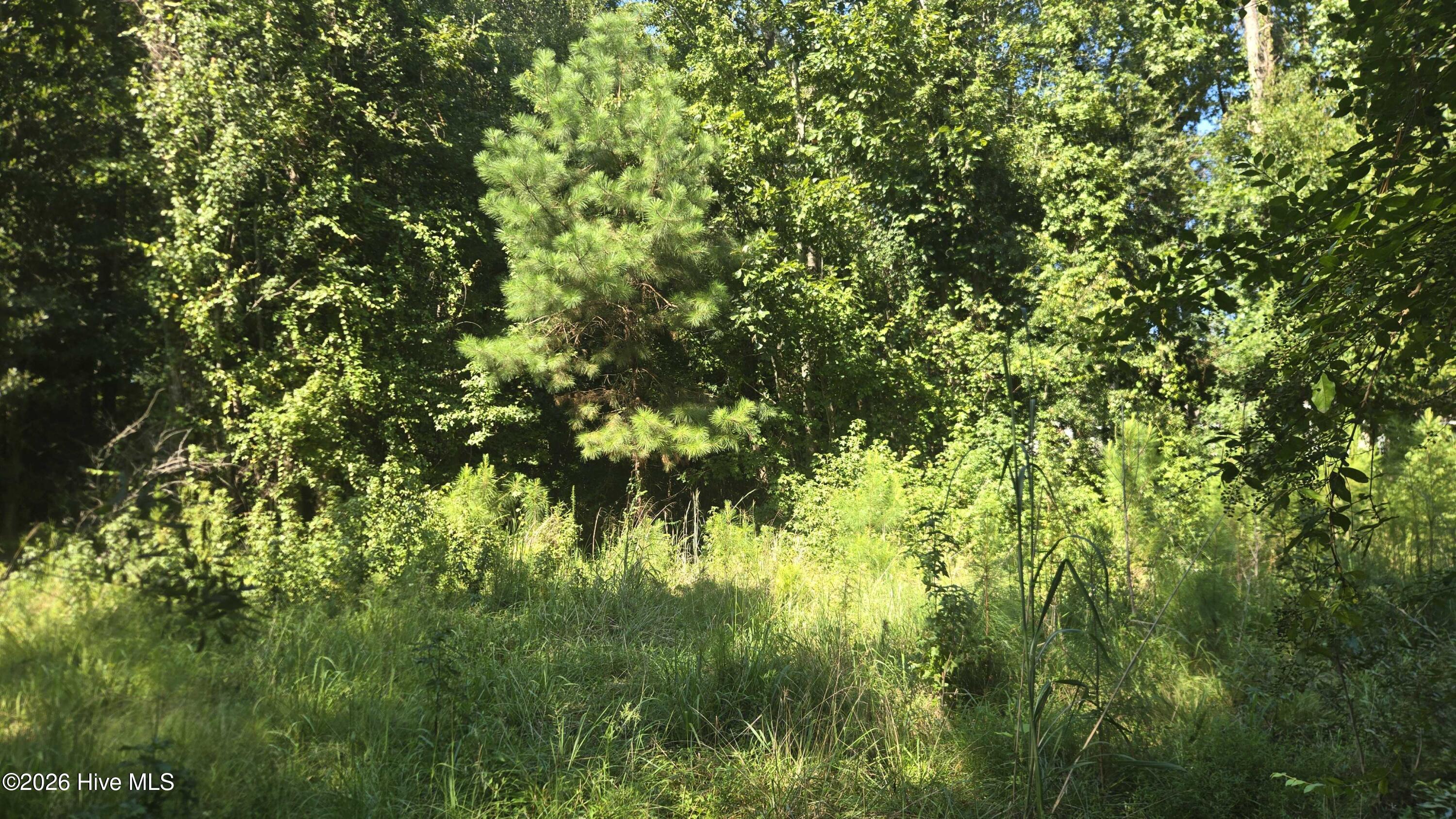 100 Magnolia Way Property Photo 3