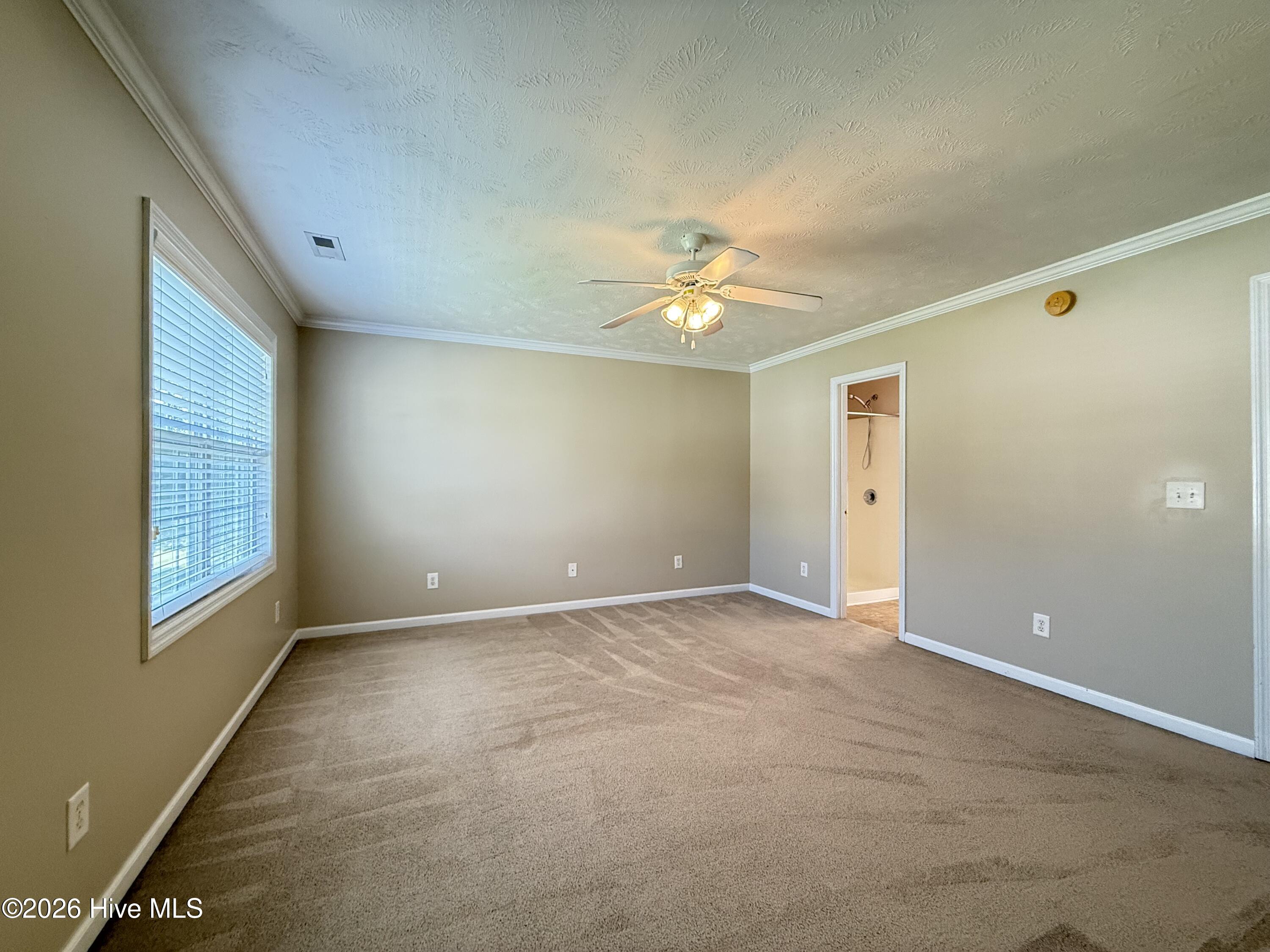 157 Mendover Drive Property Photo 31