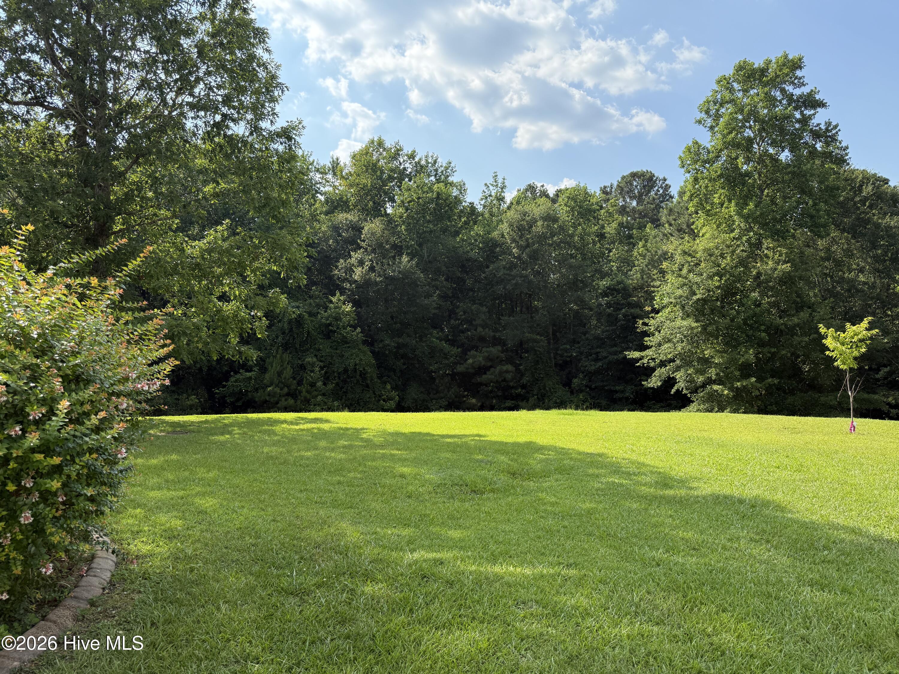 157 Mendover Drive Property Photo 53