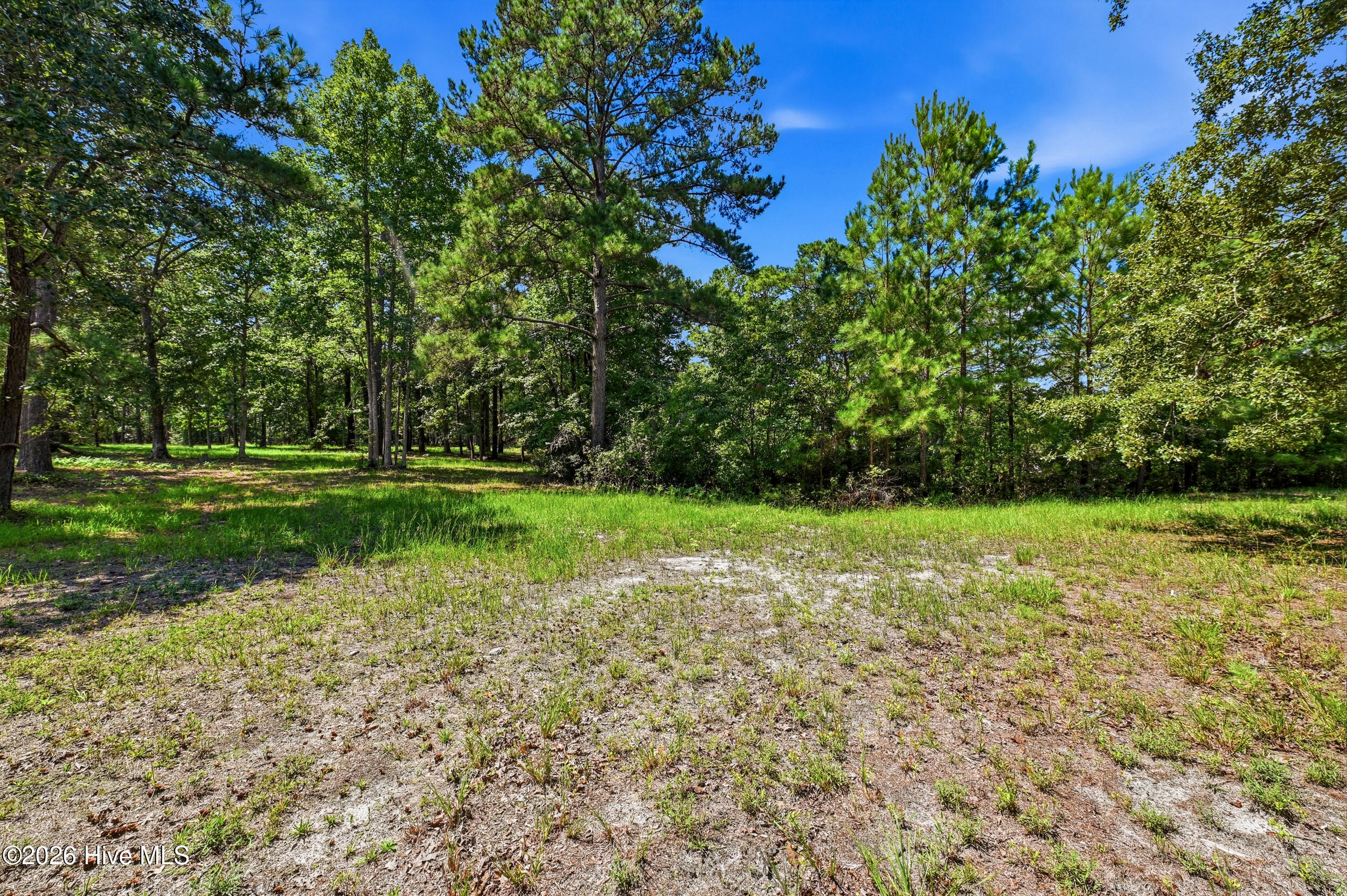 739 11 Loblolly Drive Sw Property Photo 4