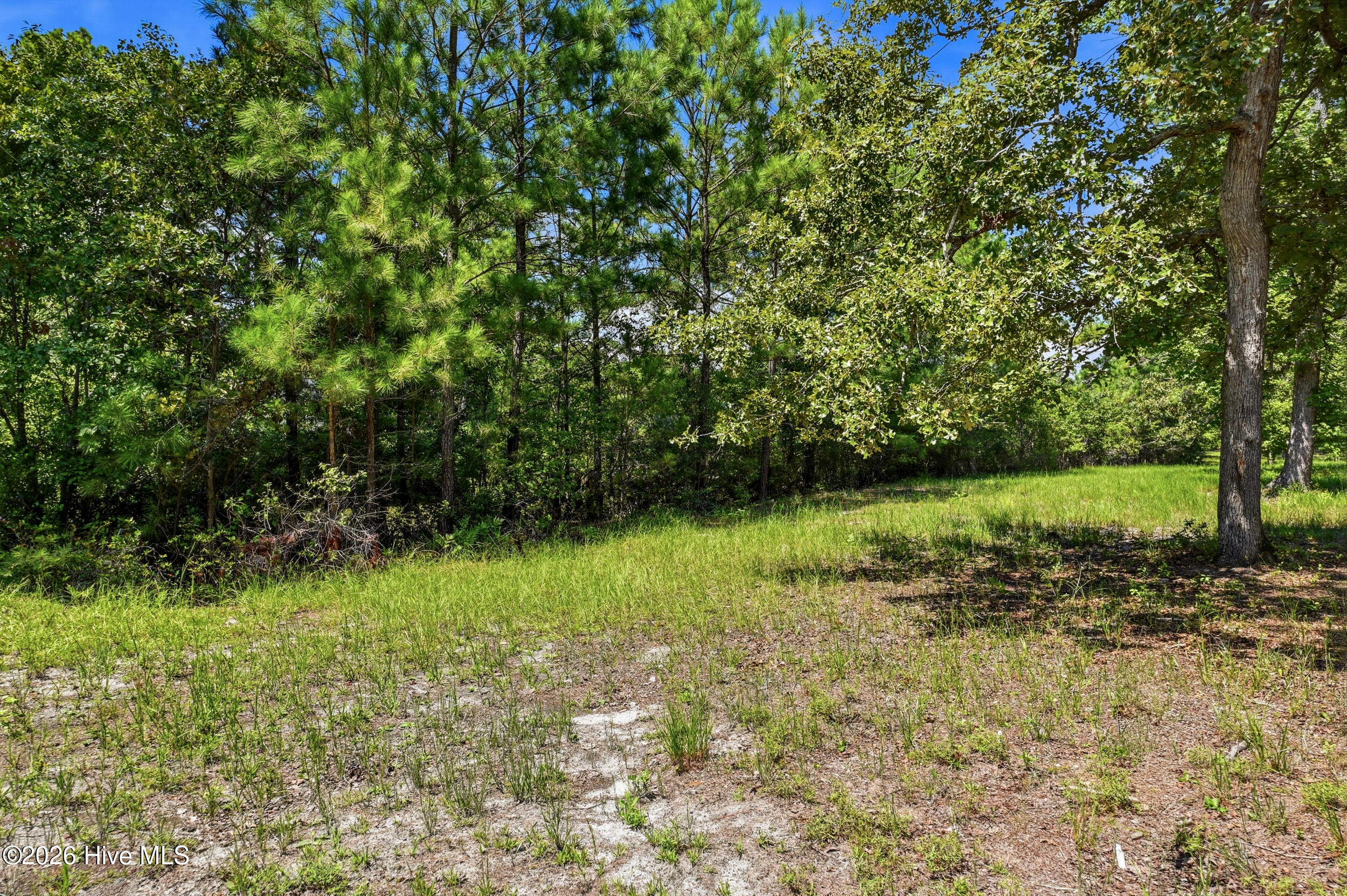 739 11 Loblolly Drive Sw Property Photo 5