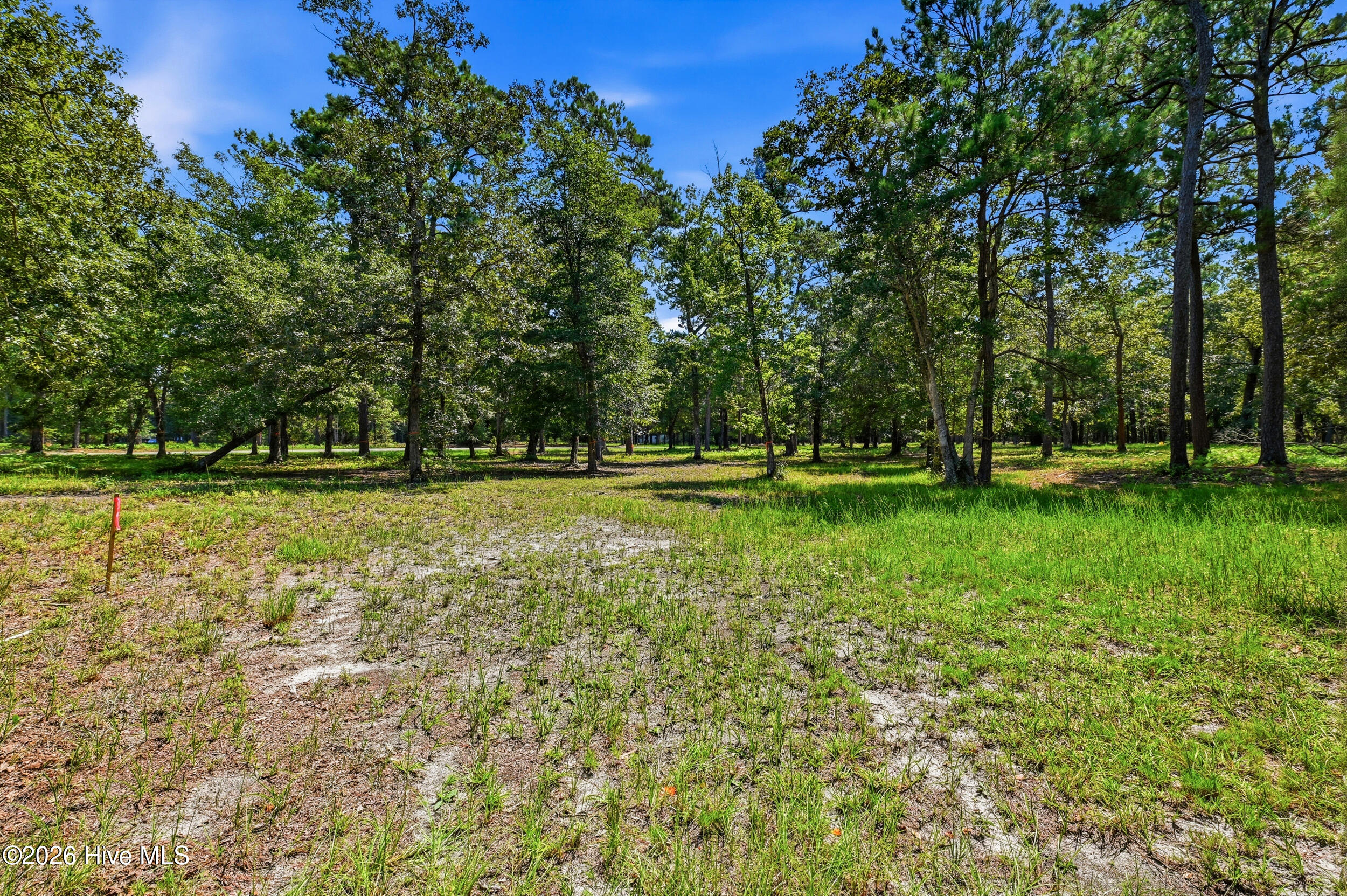 739 11 Loblolly Drive Sw Property Photo 6