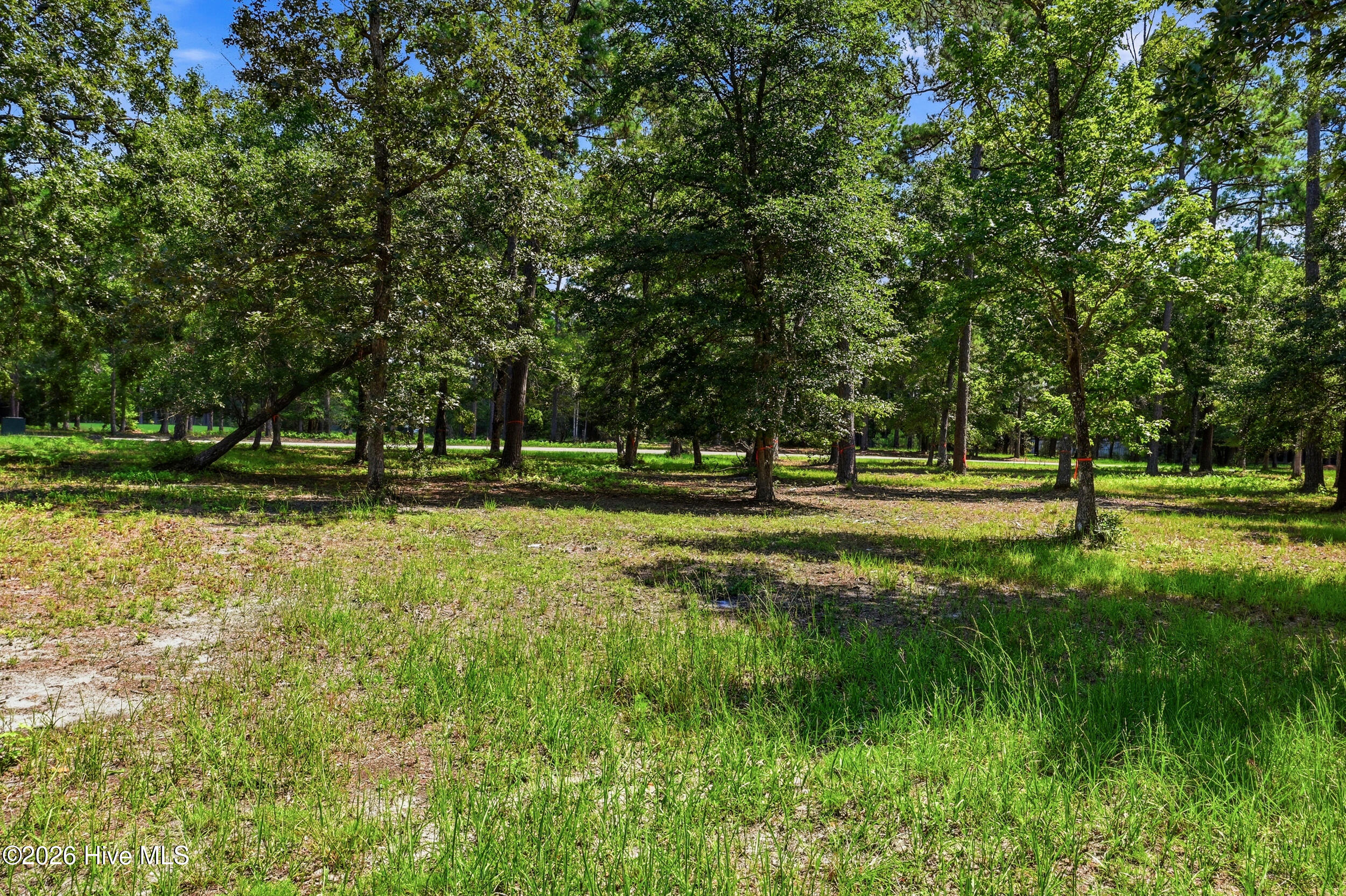 739 11 Loblolly Drive Sw Property Photo 7