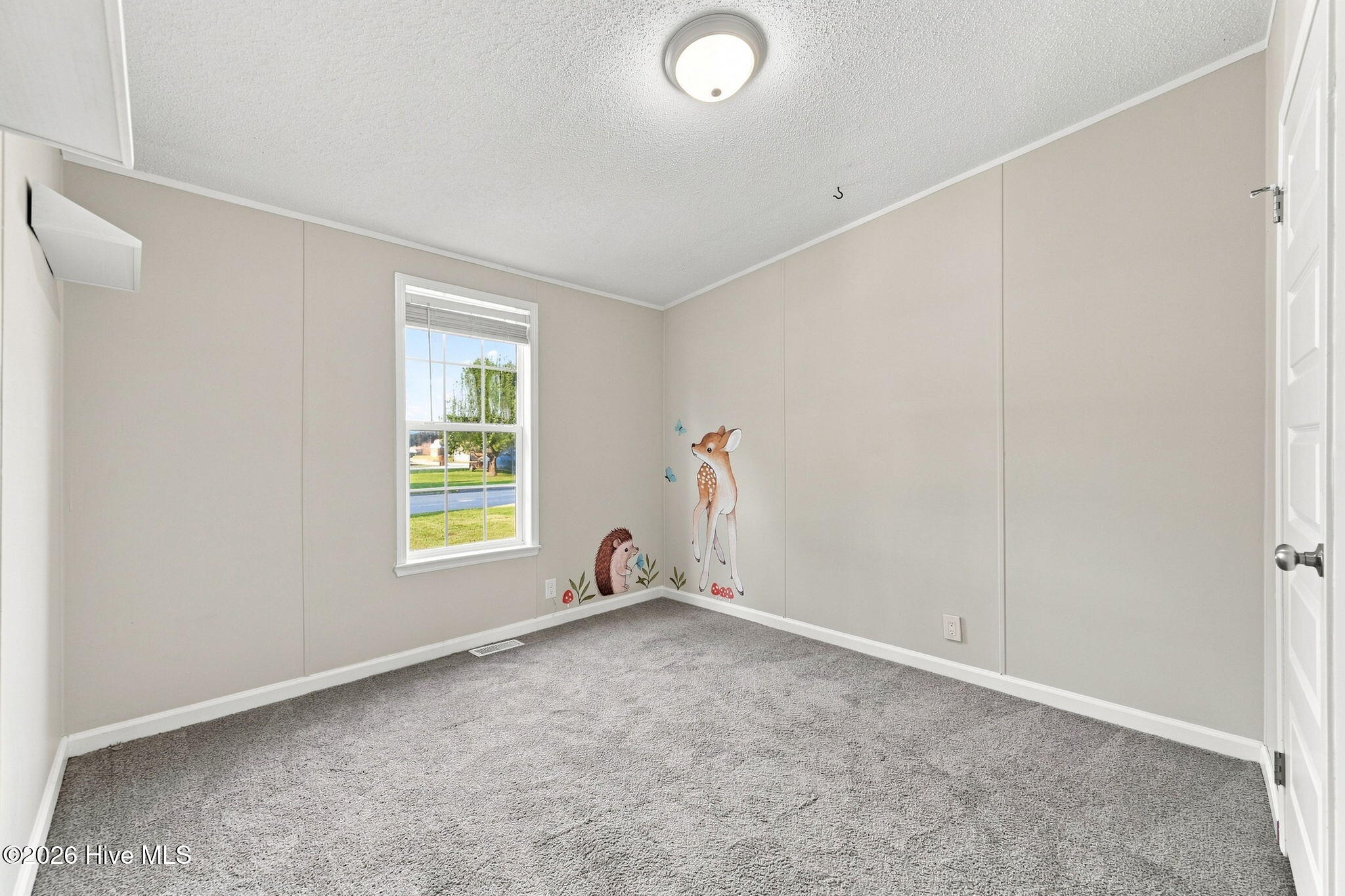 112 Rainmaker Drive Property Photo 31