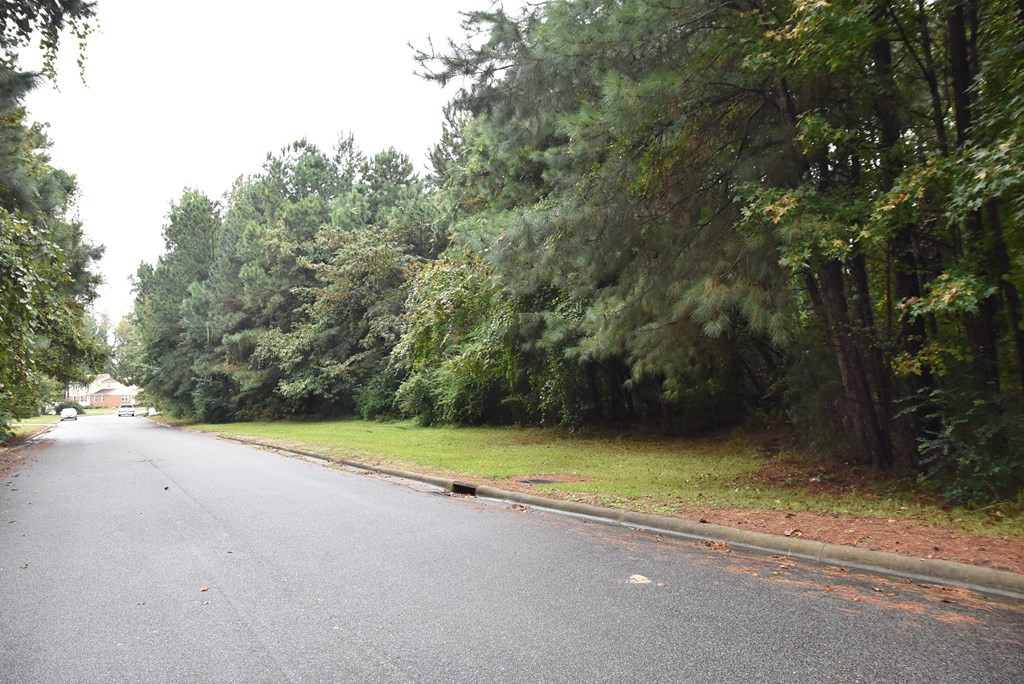 0 N Berkeley Boulevard Property Photo 4