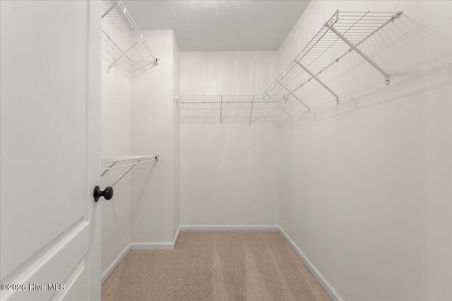 227 Kickham Lane Property Photo 29