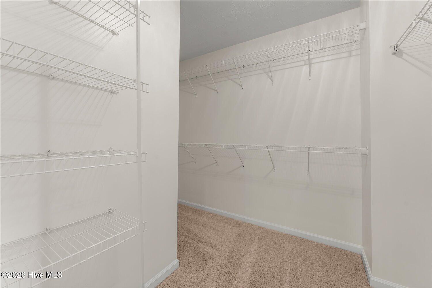 227 Kickham Lane Property Photo 30