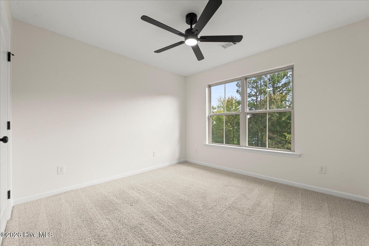 227 Kickham Lane Property Photo 37