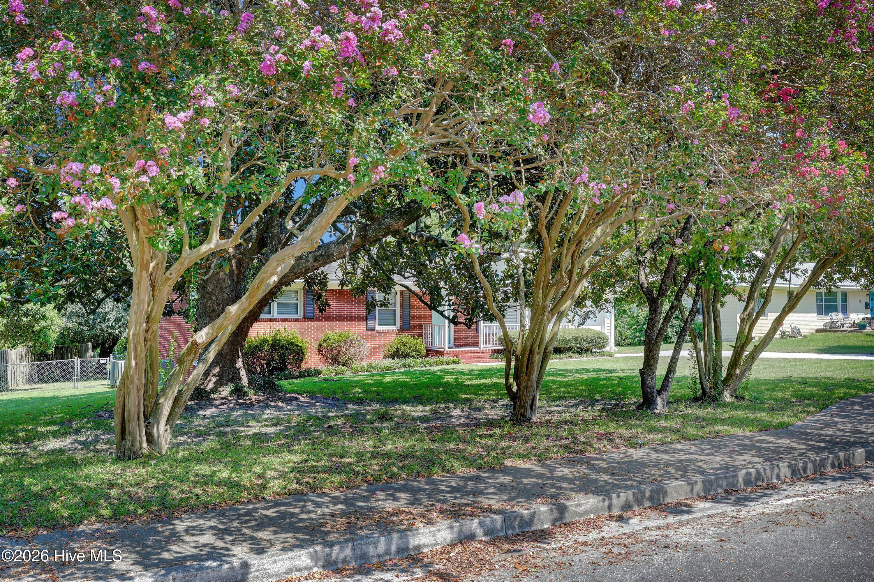 3309 Winston Boulevard Property Photo 2
