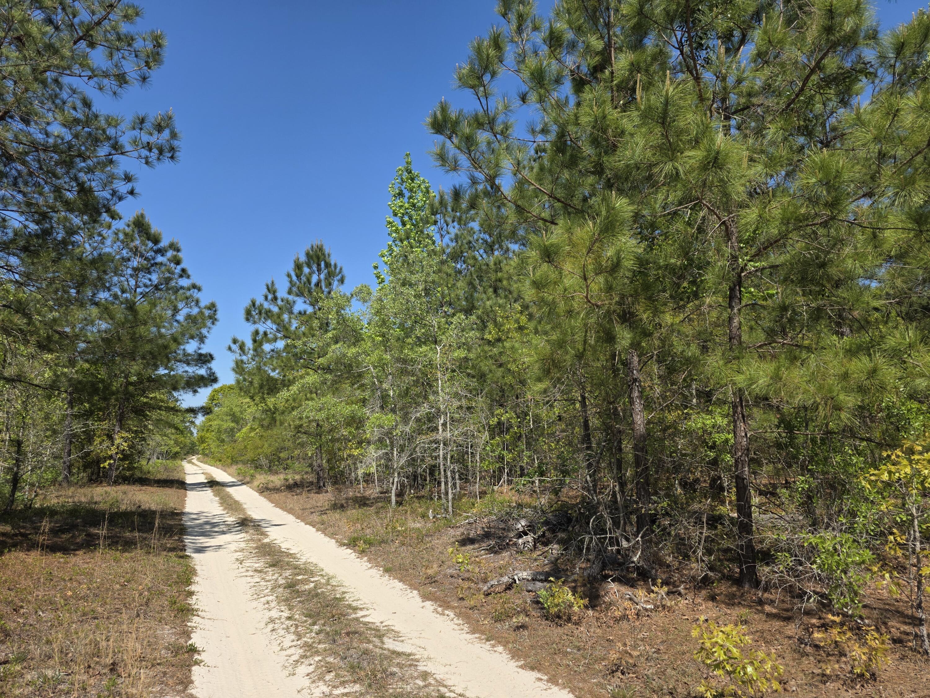 2b Briarwood Drive