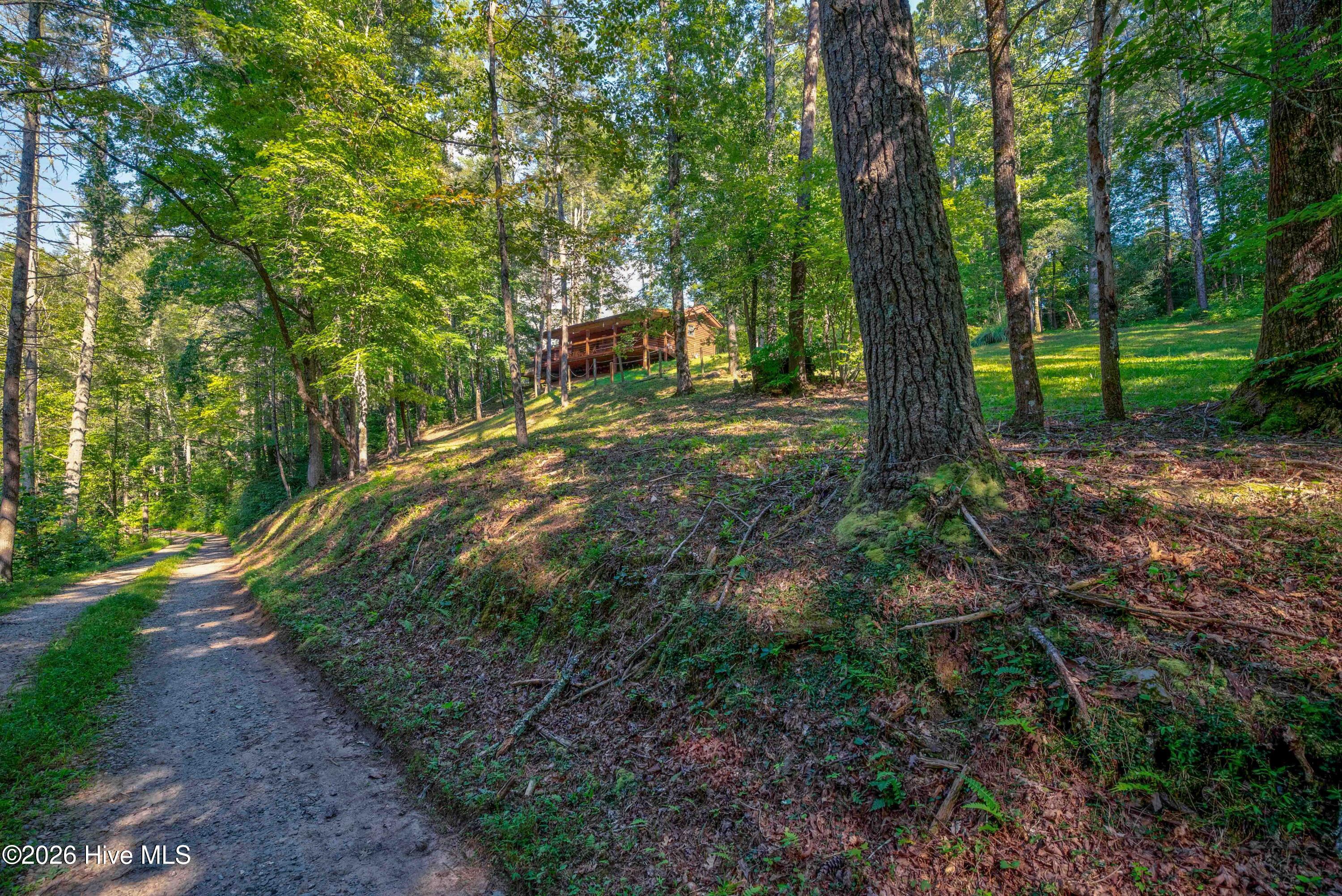 14551 Joe Brown Highway Property Photo 16