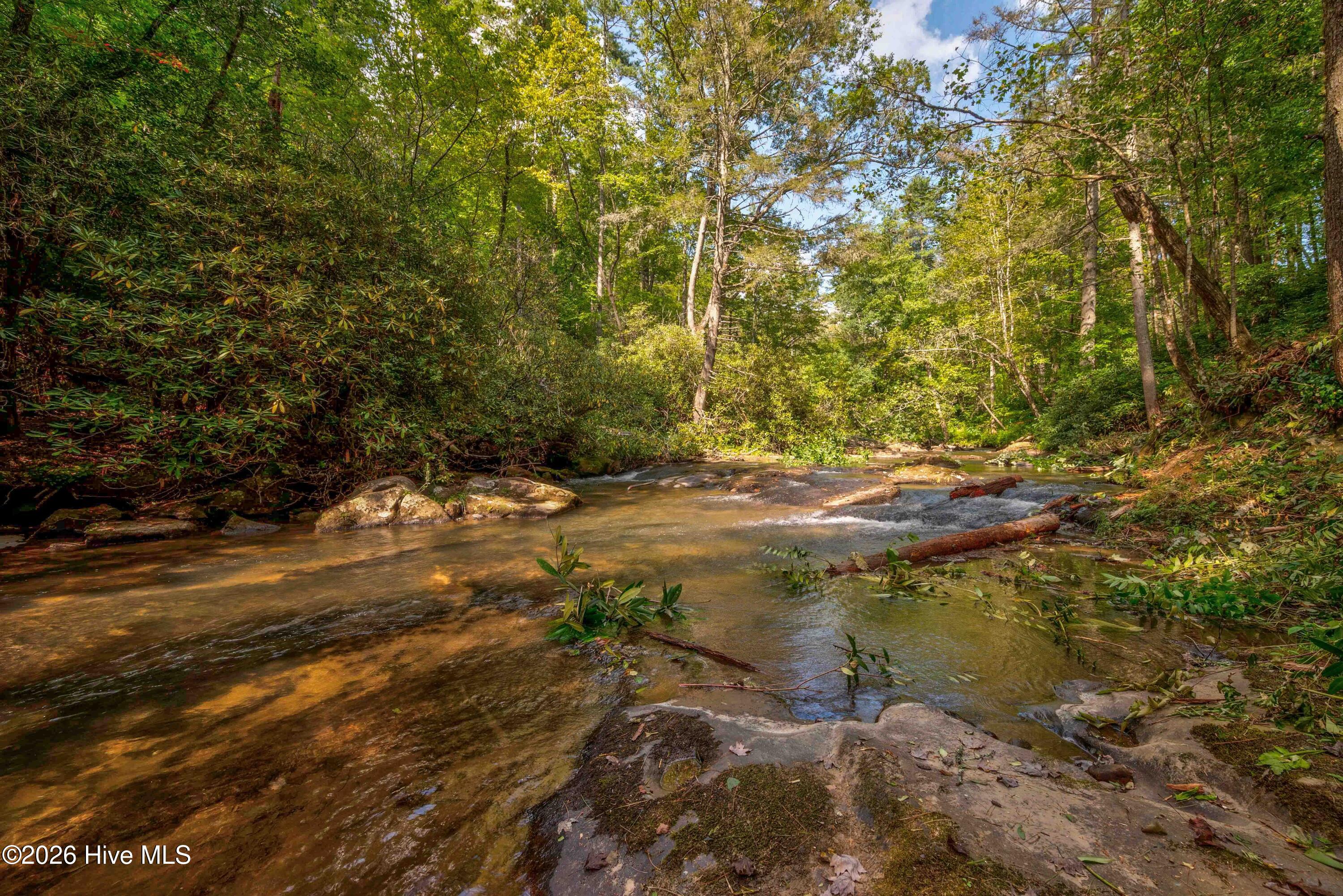 14551 Joe Brown Highway Property Photo 30