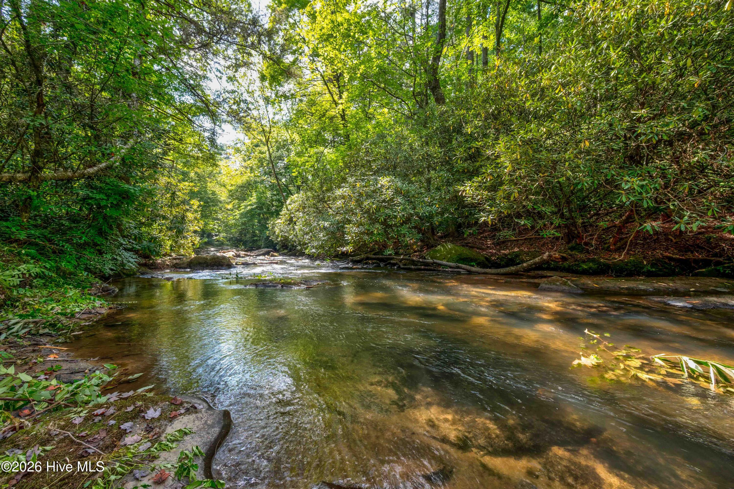 14551 Joe Brown Highway Property Photo 31