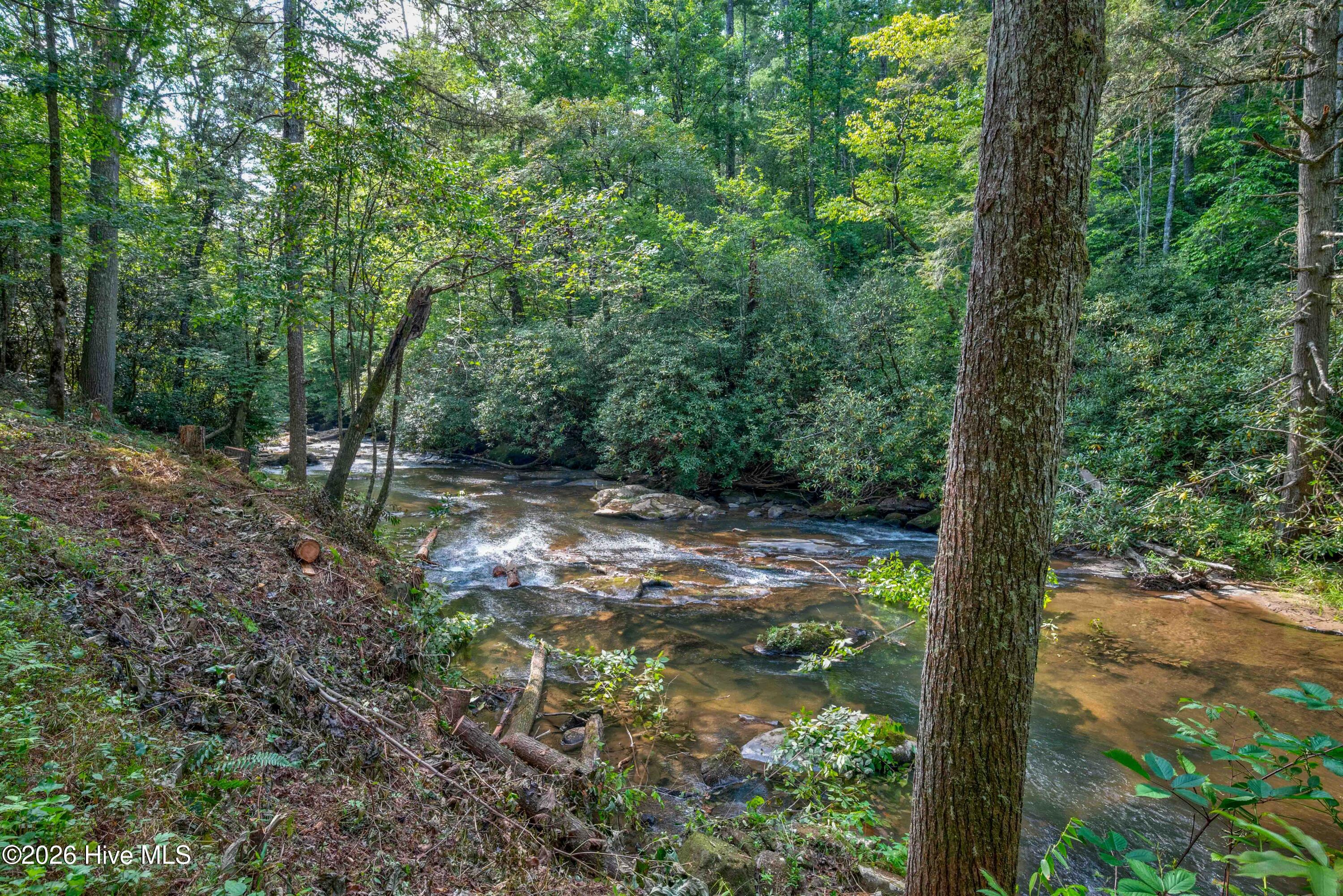 14551 Joe Brown Highway Property Photo 35