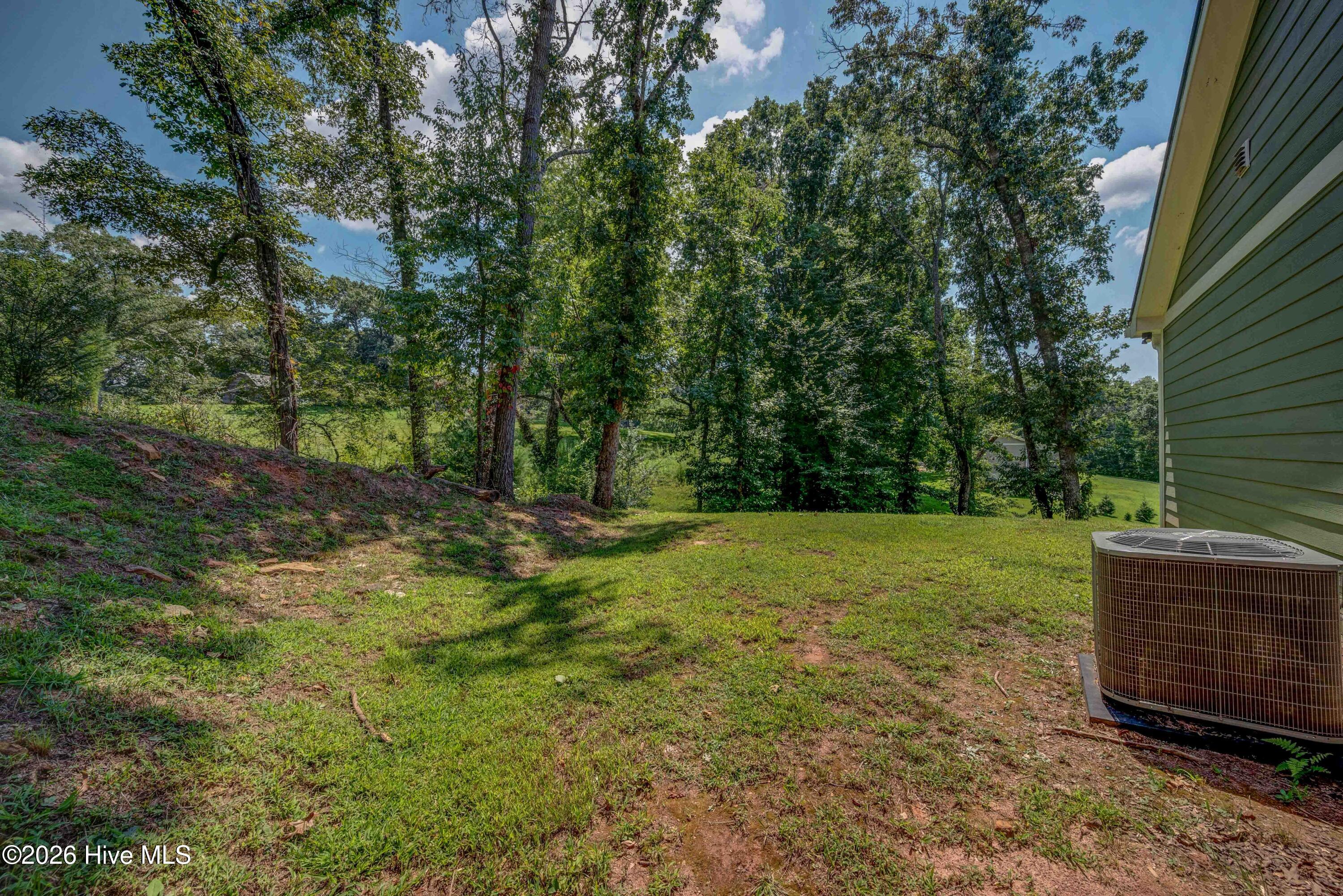 90 Paisley Pass Property Photo 27