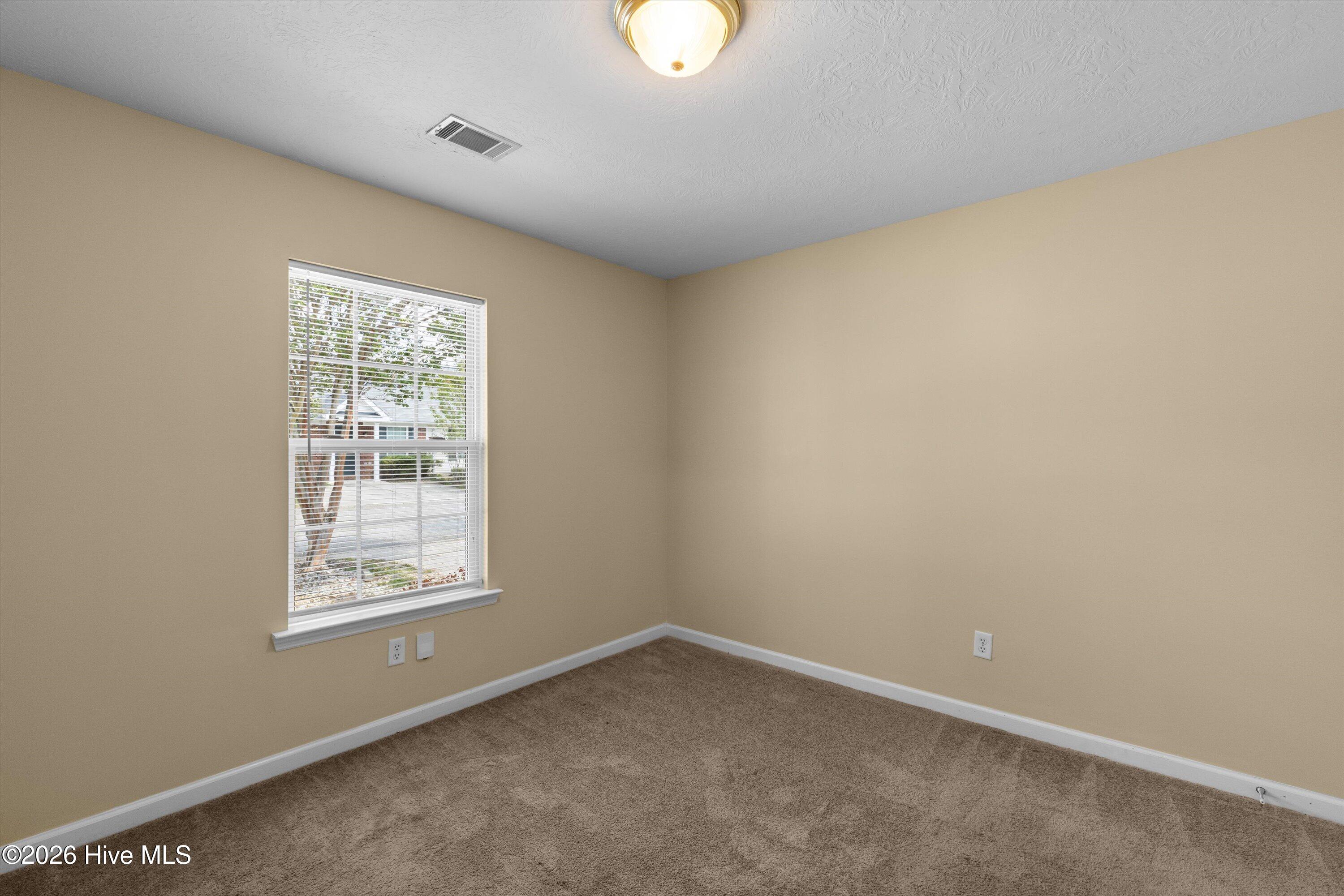 407 Flowing Creek Drive Property Photo 12