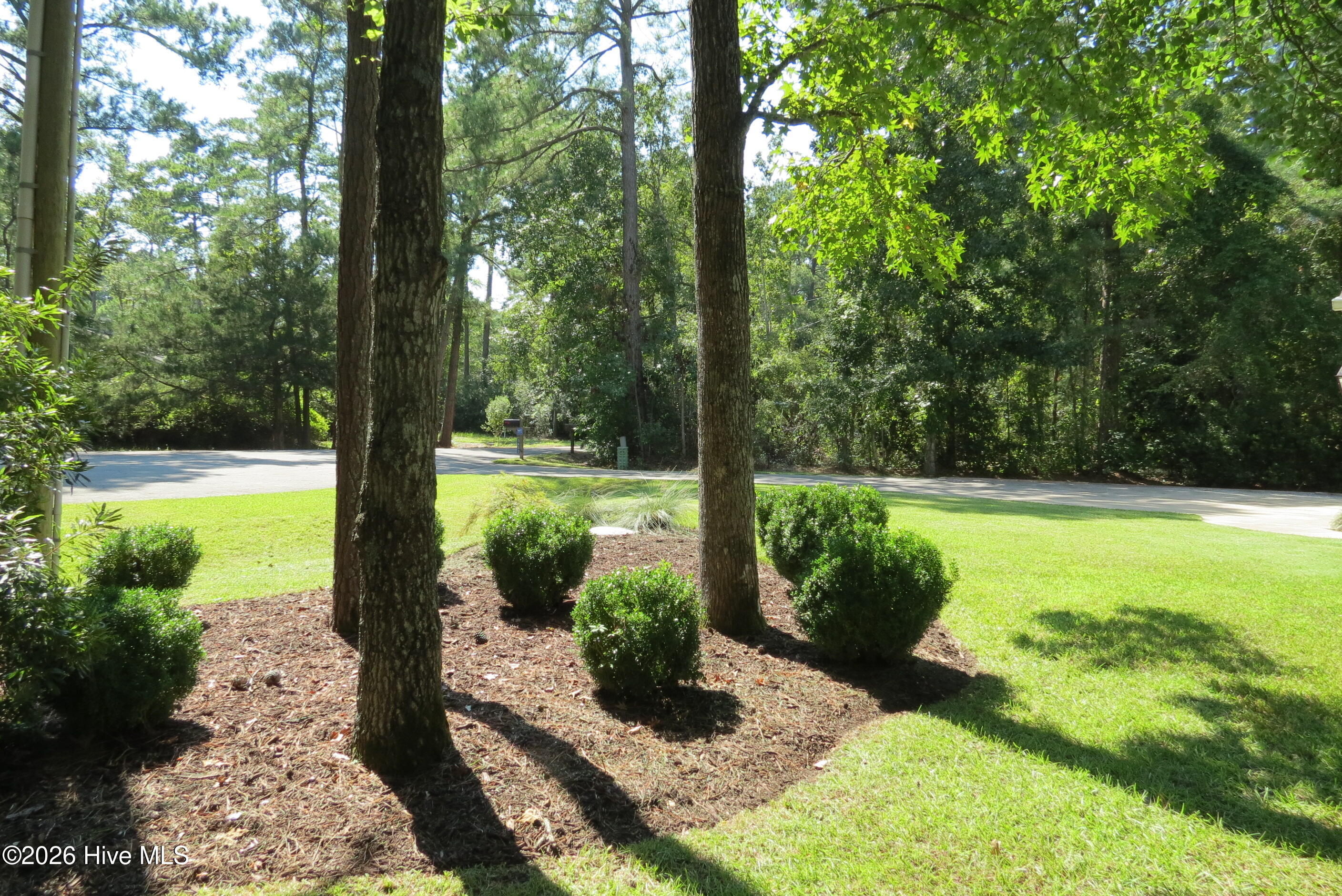 5633 Styron Drive Property Photo 91