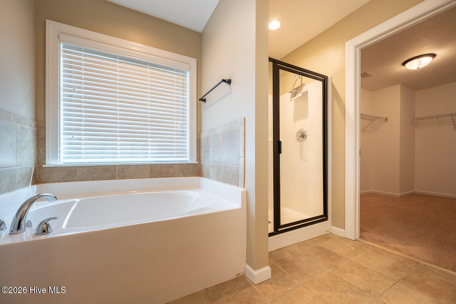 536 Bunchgrass Street Property Photo 17