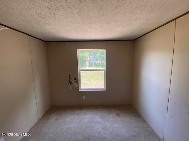 90 Buck Ridge Road Property Photo 14