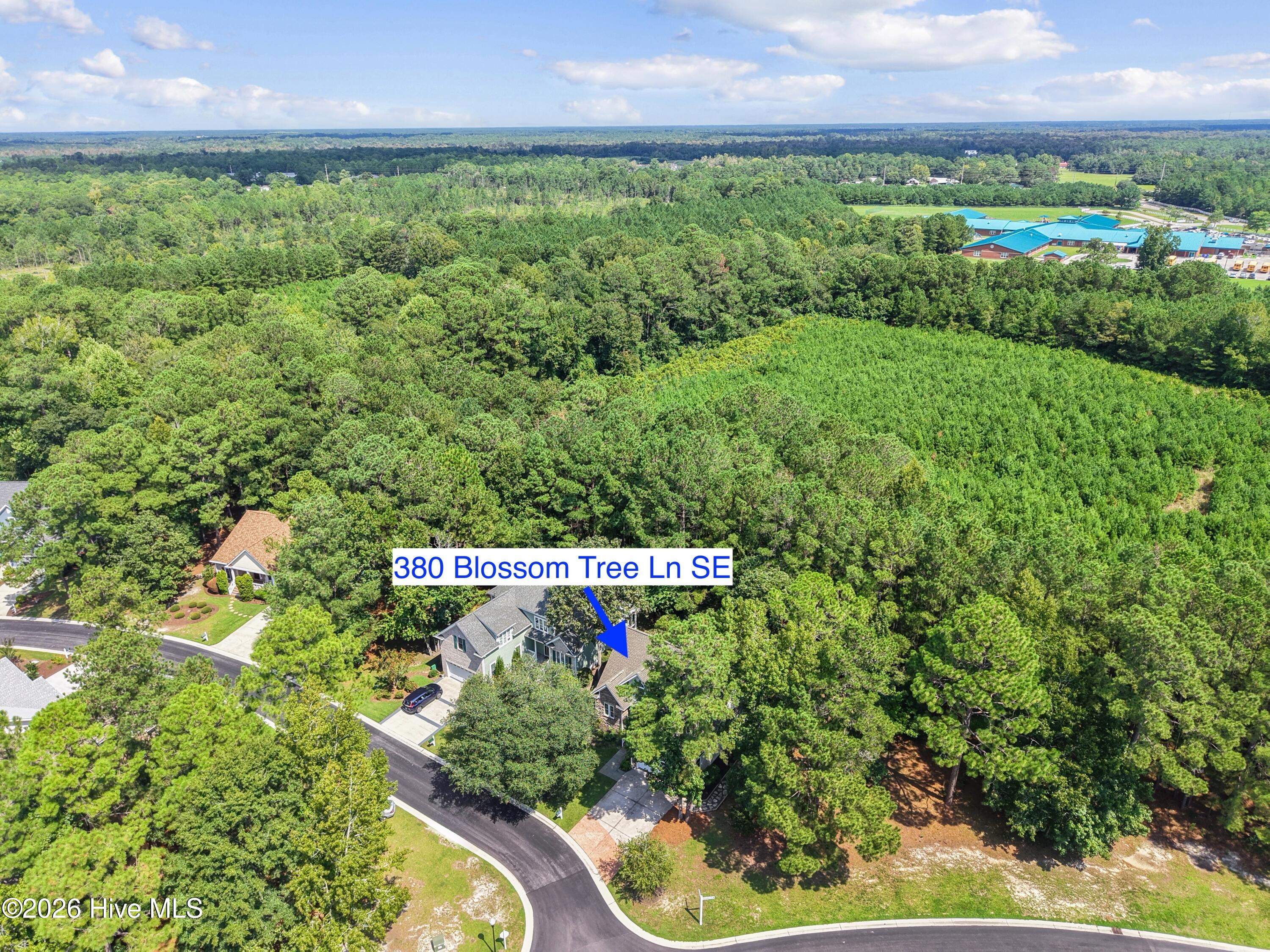 380 Blossom Tree Lane Se Property Photo 44