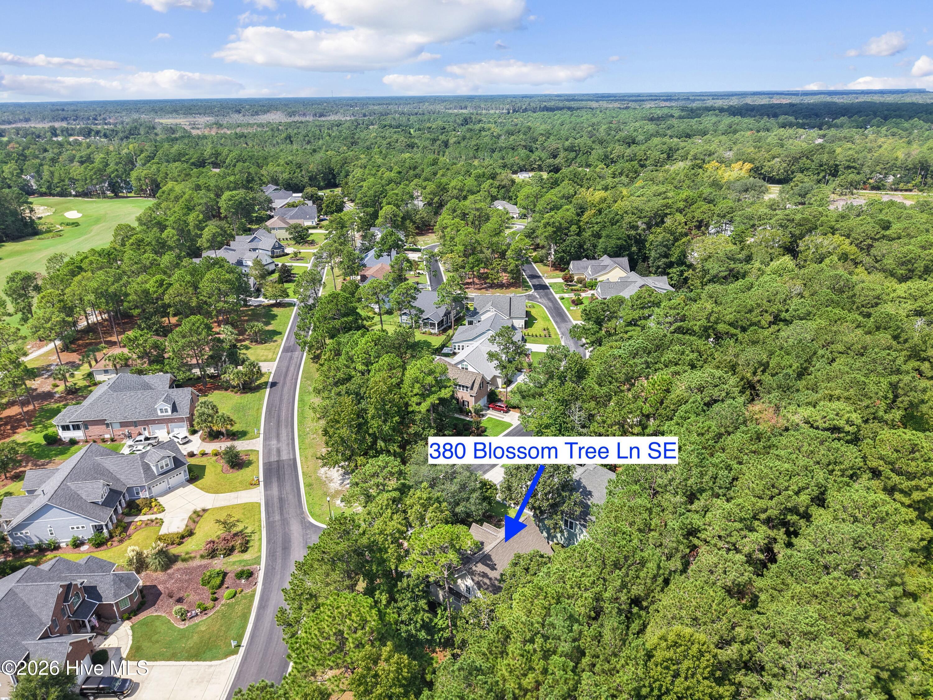 380 Blossom Tree Lane Se Property Photo 45