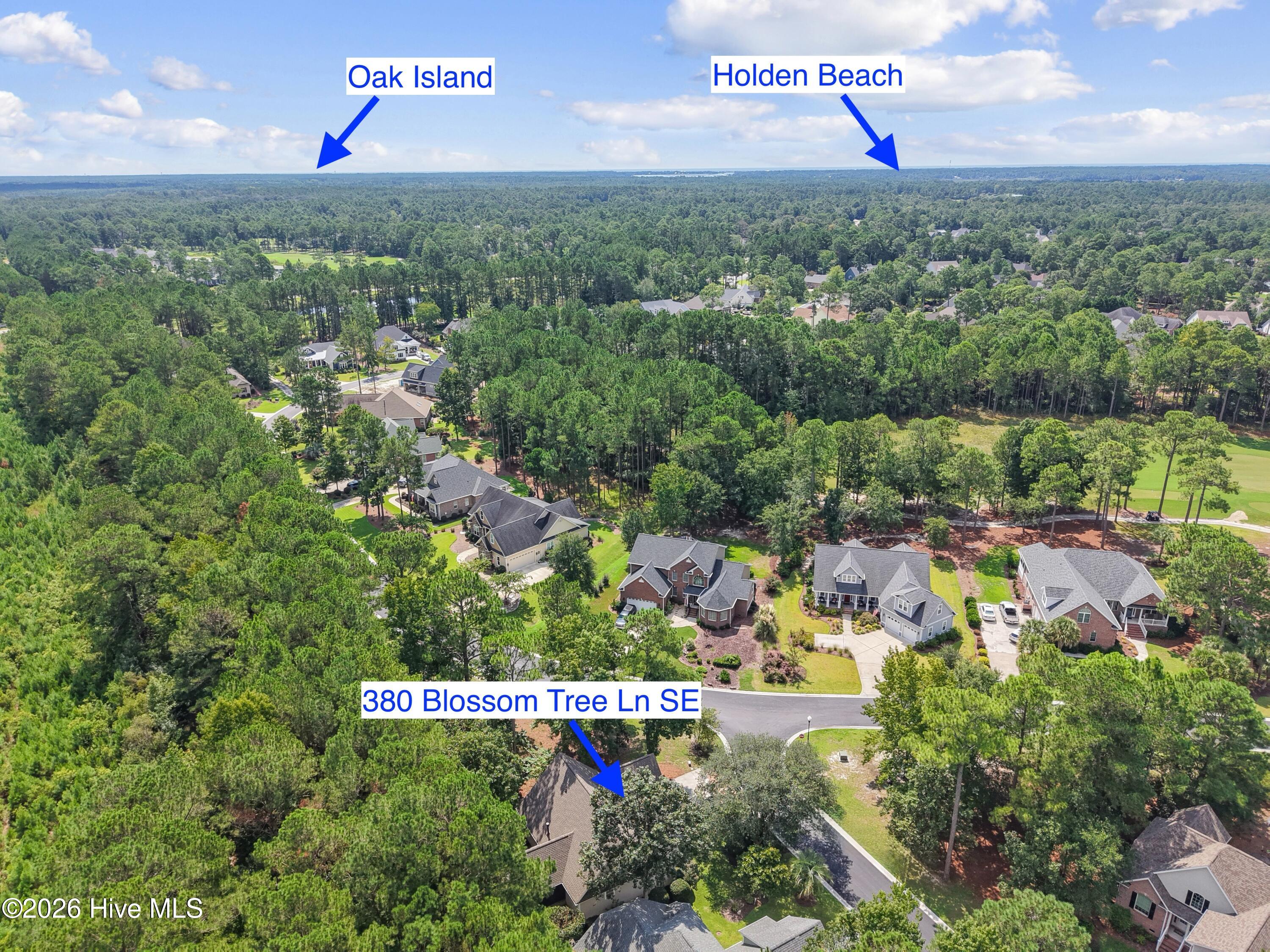 380 Blossom Tree Lane Se Property Photo 46