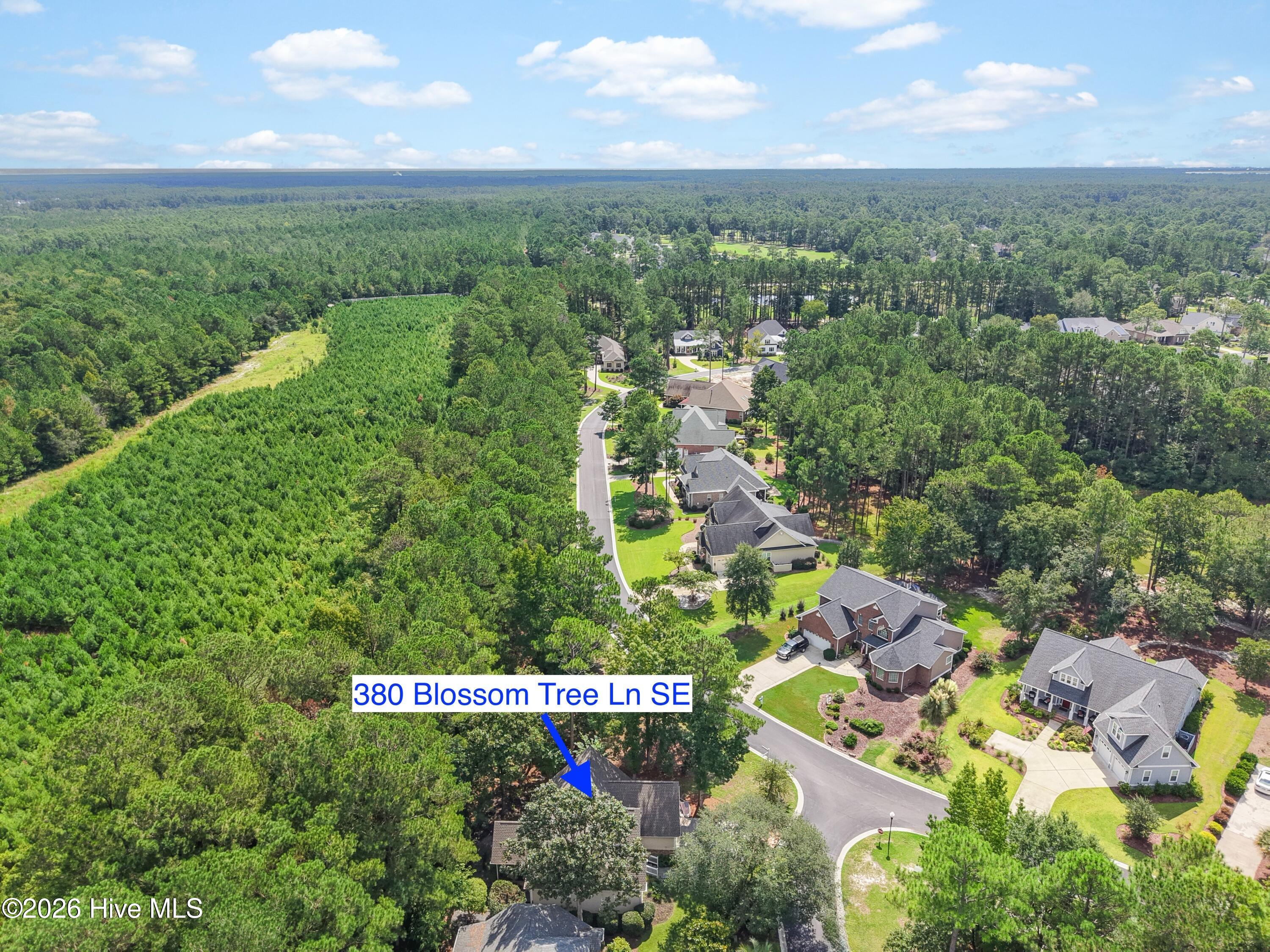 380 Blossom Tree Lane Se Property Photo 47