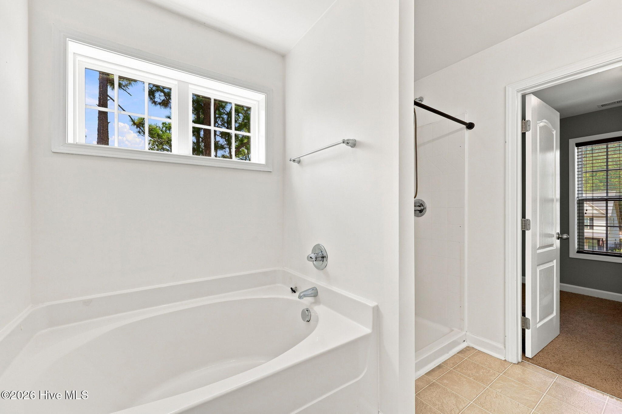 1105 Whitney Drive Property Photo 32