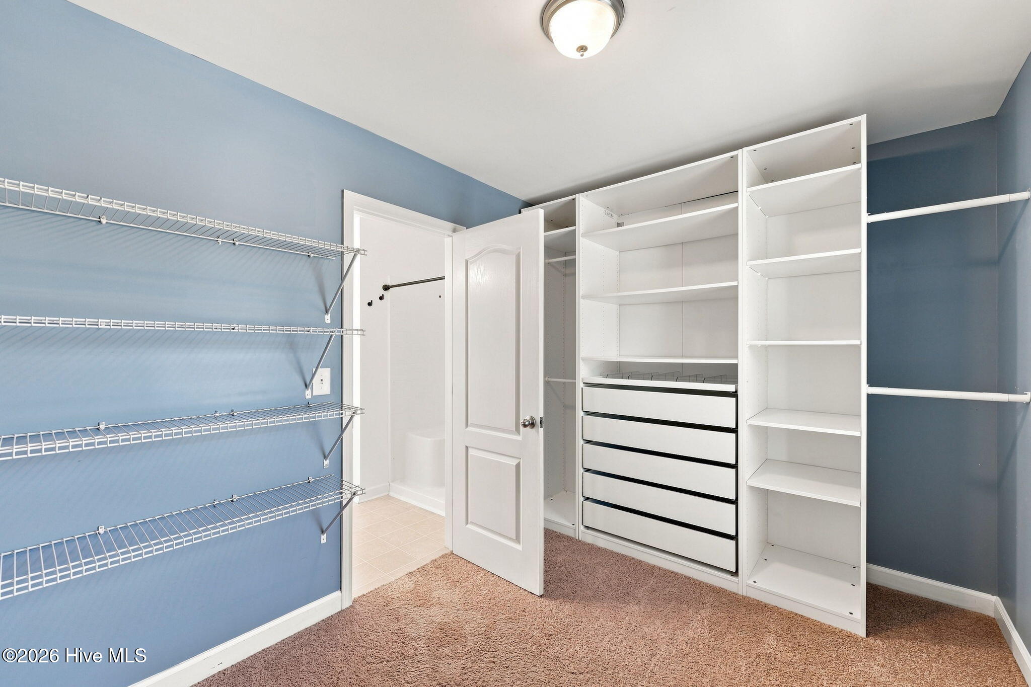 1105 Whitney Drive Property Photo 33