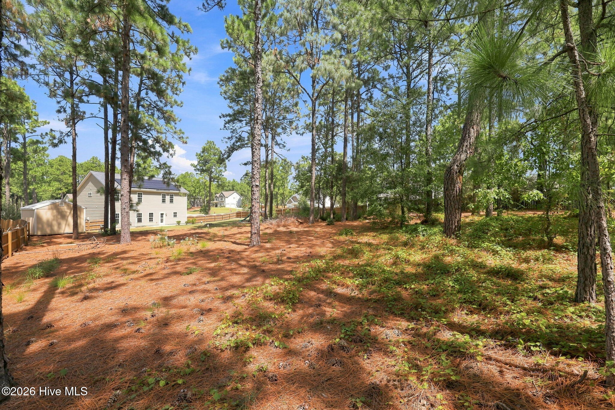 1105 Whitney Drive Property Photo 52