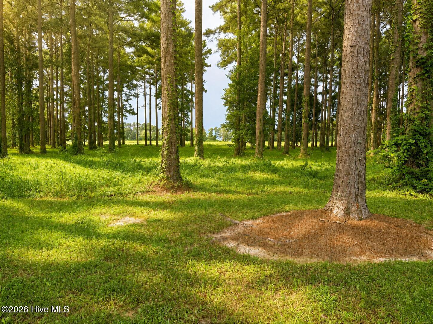 159 Frying Pan Property Photo 3