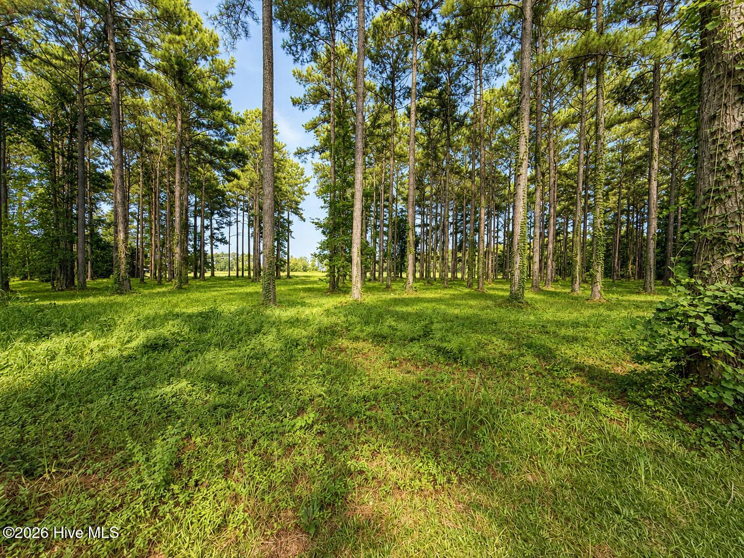 159 Frying Pan Property Photo 4