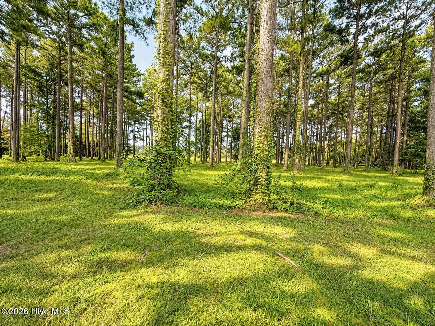 159 Frying Pan Property Photo 5